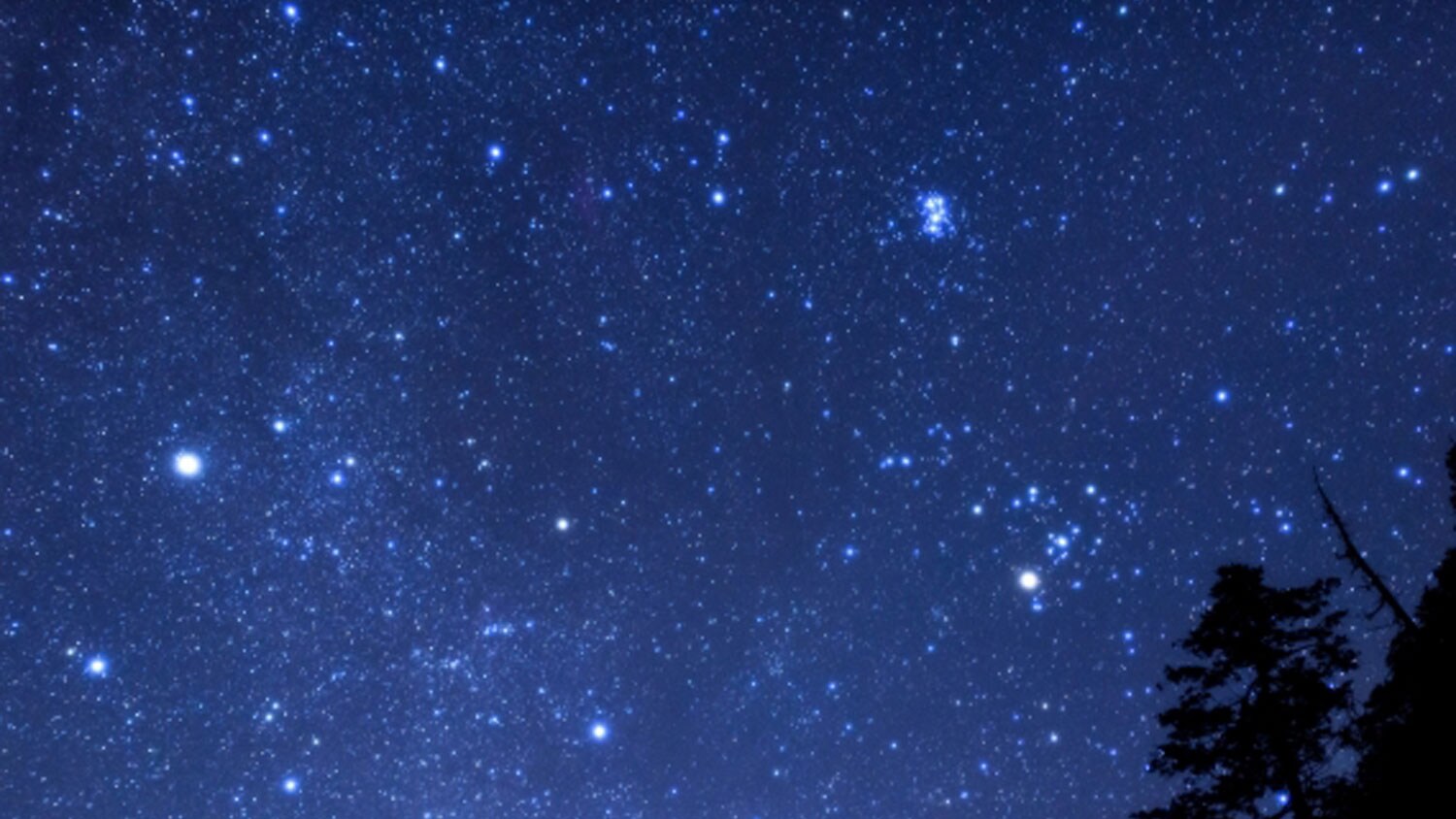starry skies