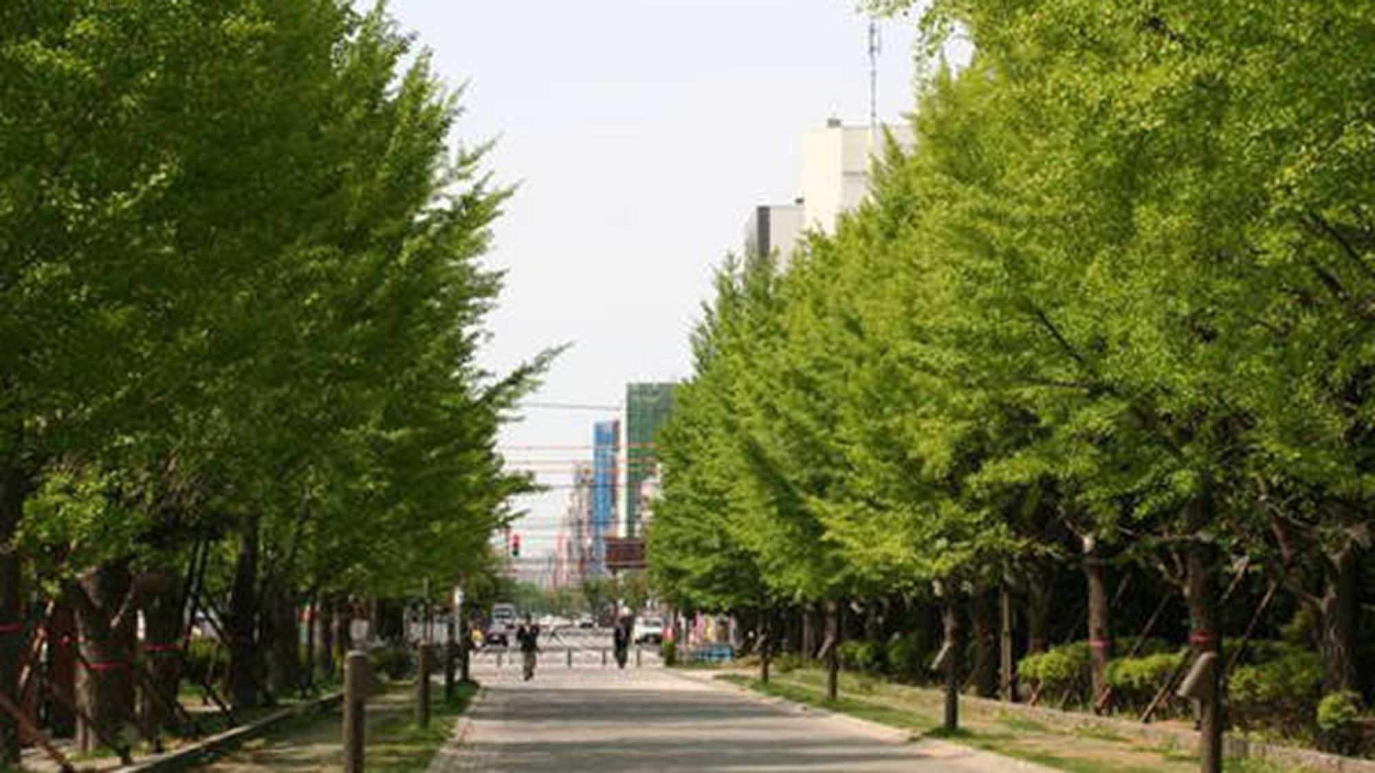Nakajima Park is a 3-minute walk from our hotel. An oasis in the city. Perfect for walking and jogging!