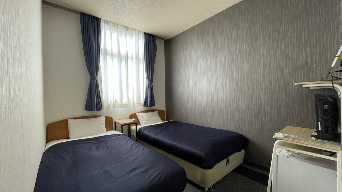 Standard twin room (12 square meters)