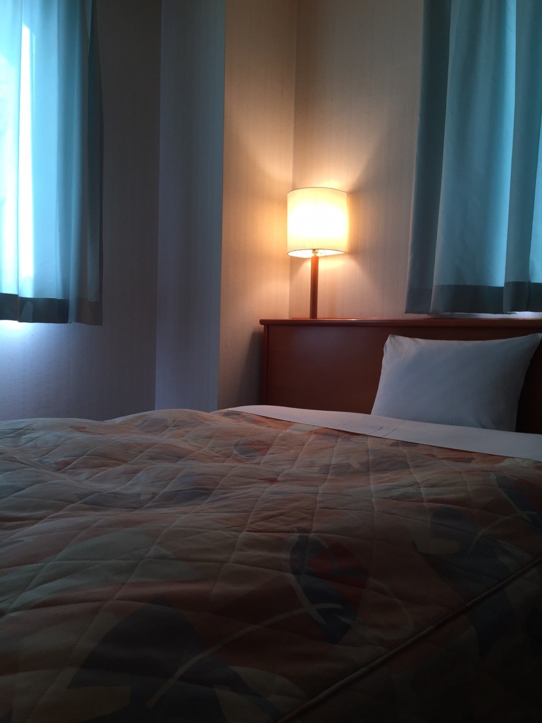 Non-smoking Western-style single room
