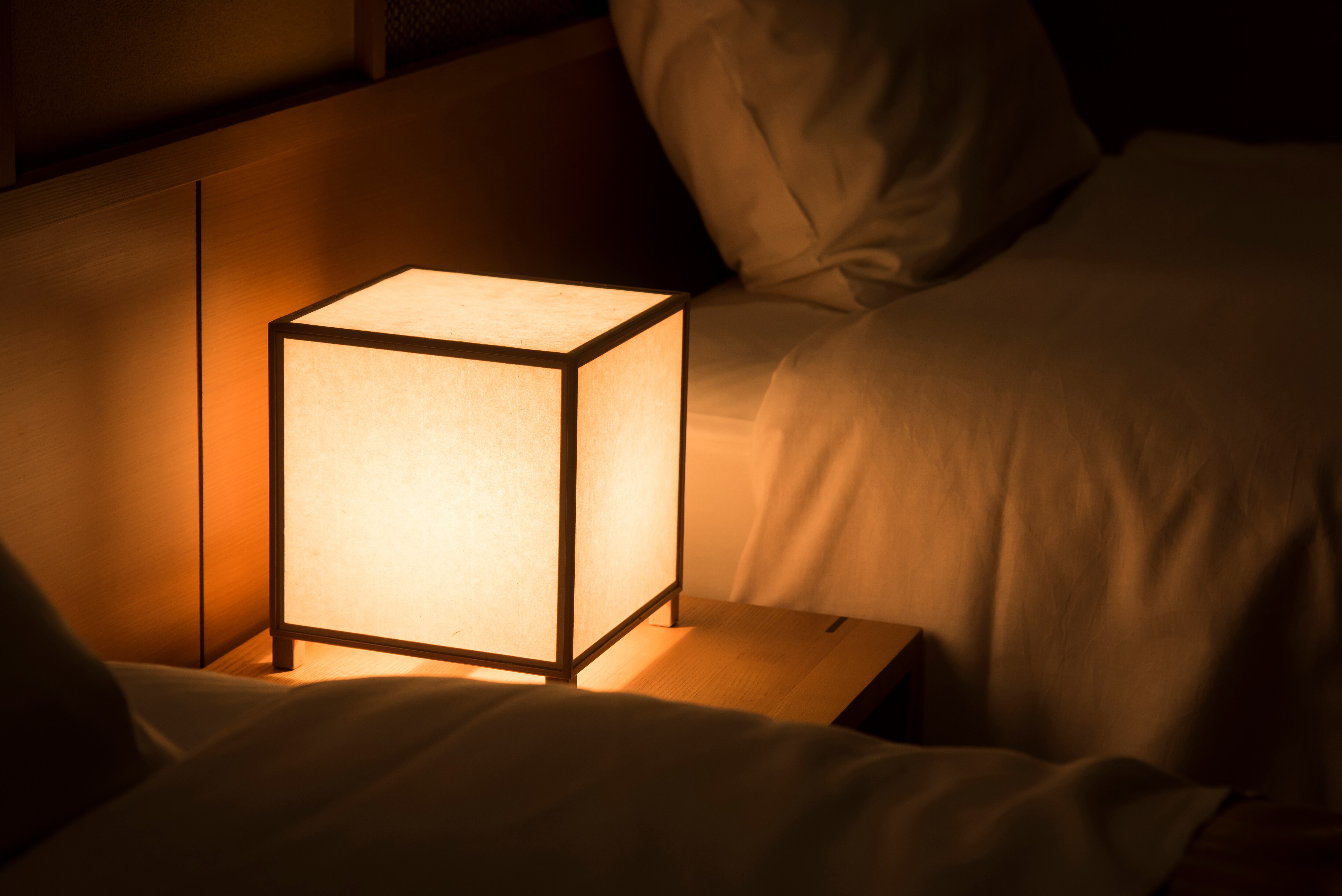 8 tatami Western-style room (lighting)