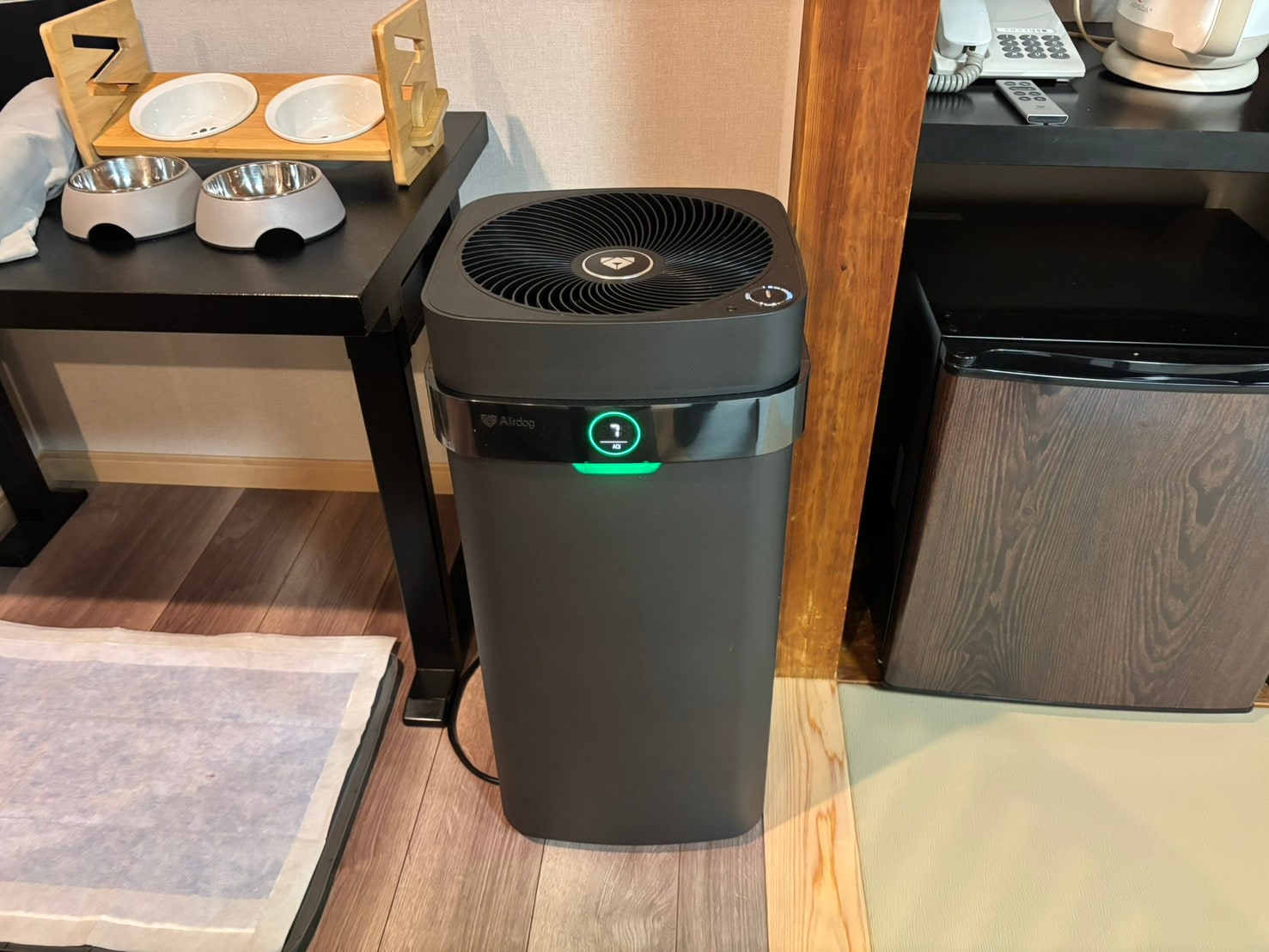 翻新客房：可攜帶寵物狗入住的客房。