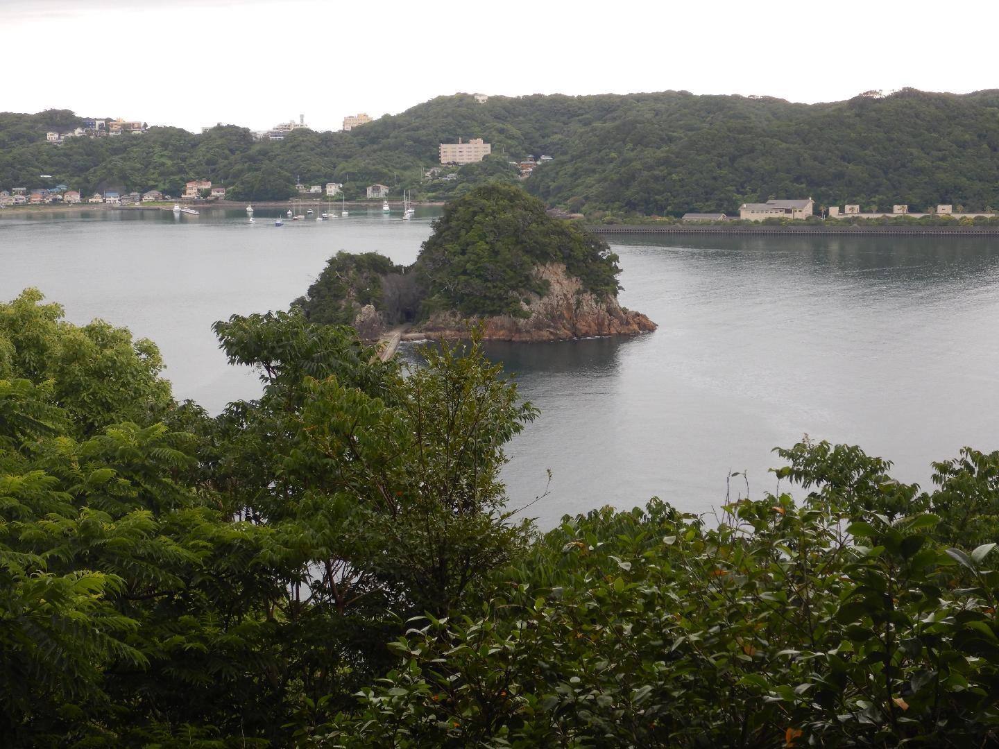 DSCN4541.JPG
