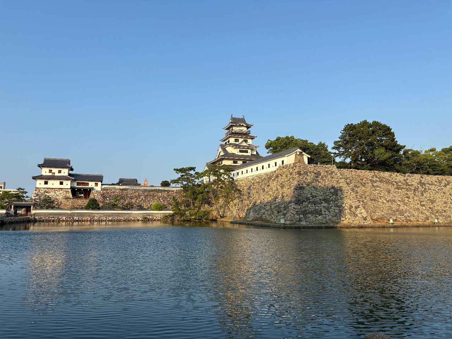 525012D0-D352-445D-B7E0-9F20A50BCF50.jpeg