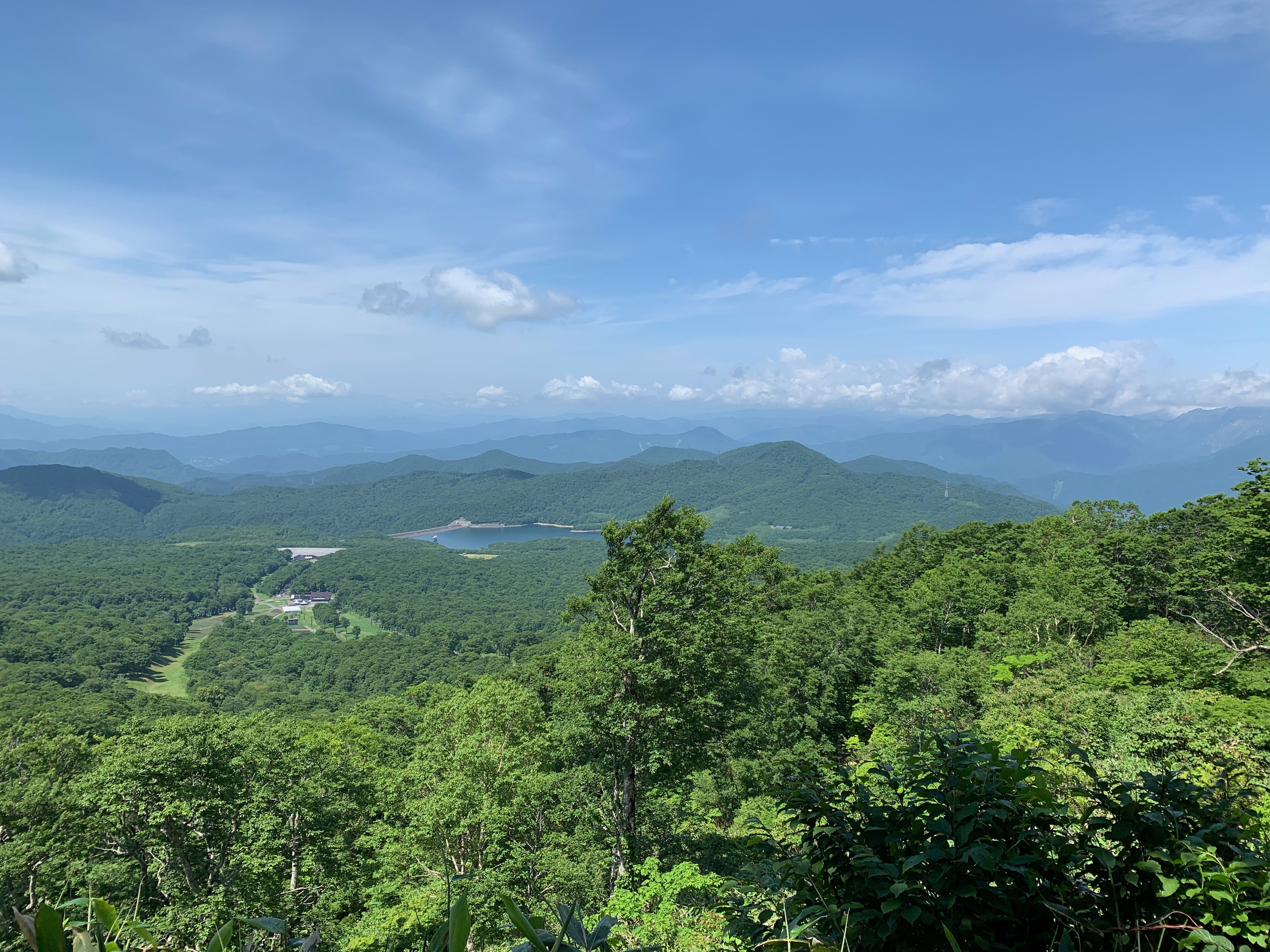 從高峰會