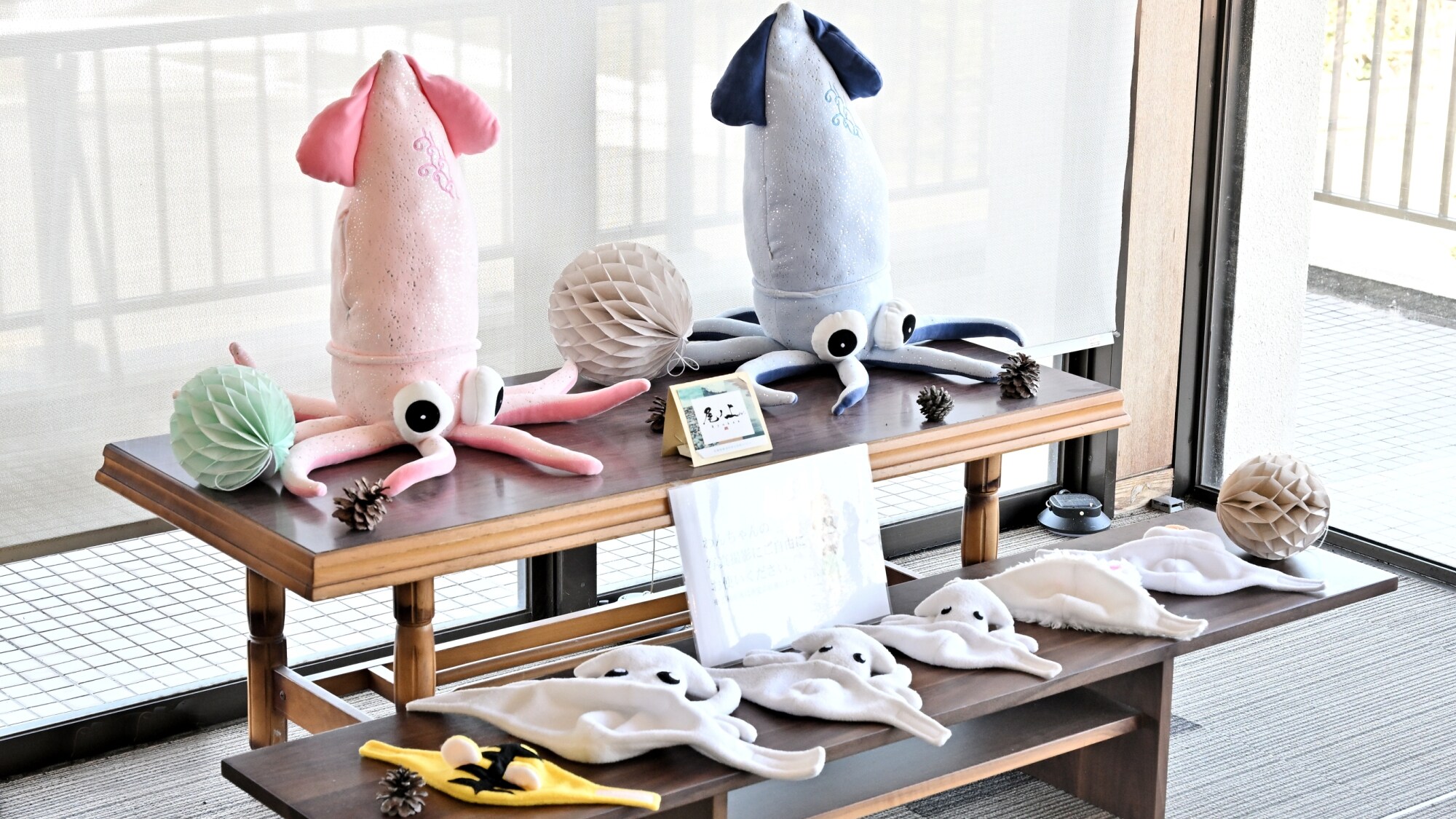 [Shop] When you think of Yobuko, you think of squid!