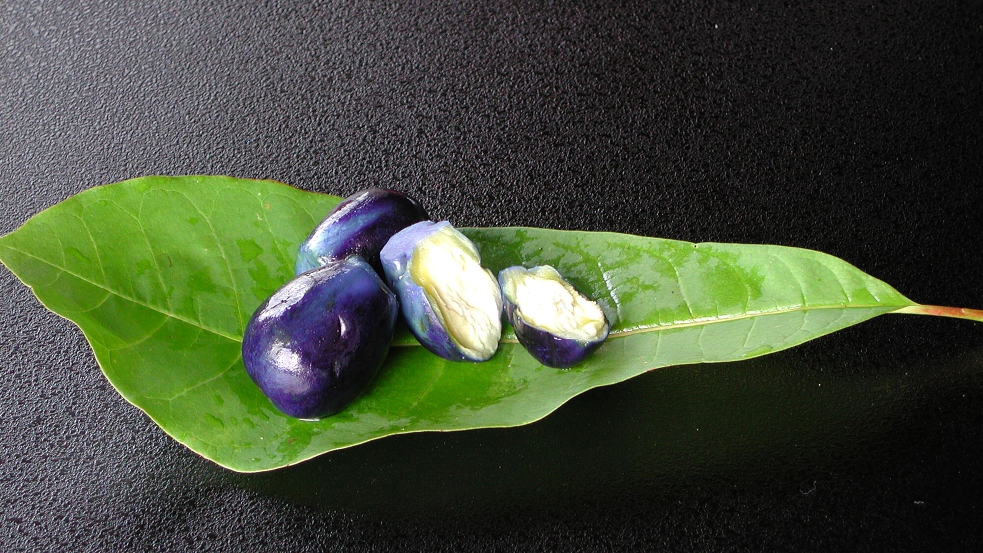 *[Fuyutsuki/July] Juzen eggplant pickles