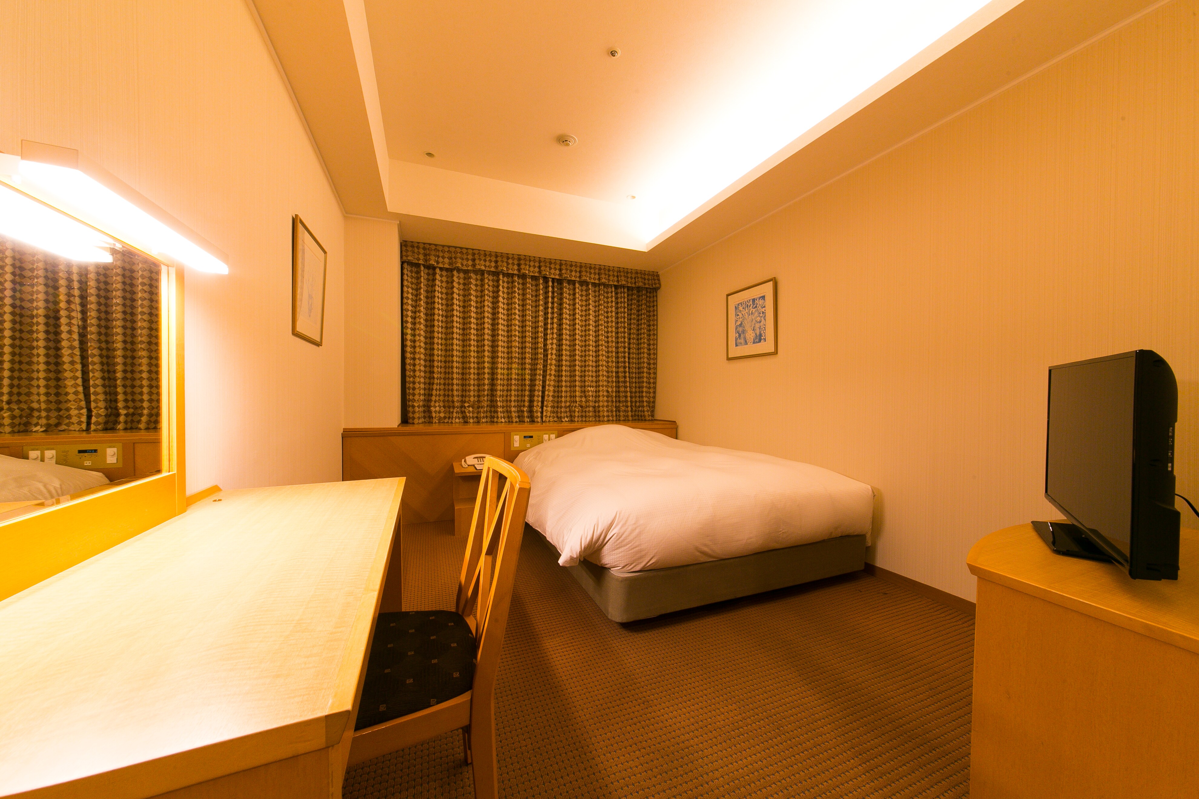 Non-smoking Deluxe Single (Semi-double) Room
