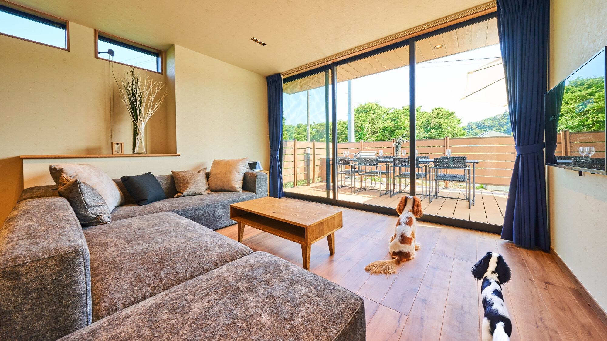[106/Dog Friendly] Only room 106 is available for guests with dogs.