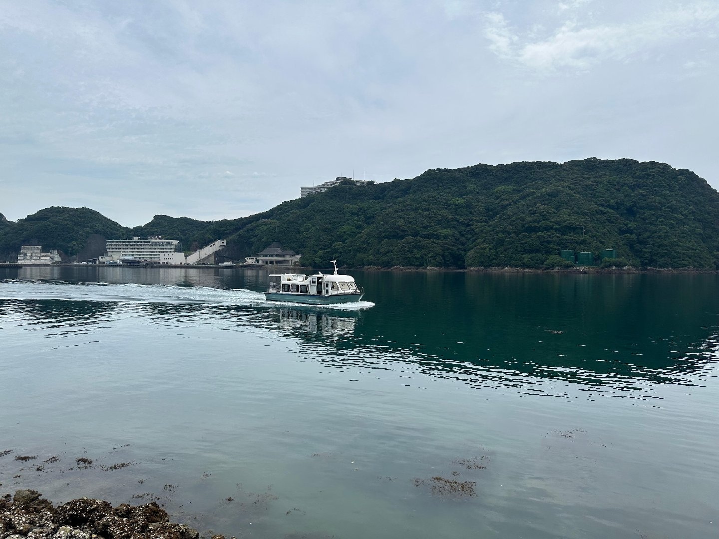 D6097F82-39F6-450B-96FC-1F9F2E8CDB05.jpeg
