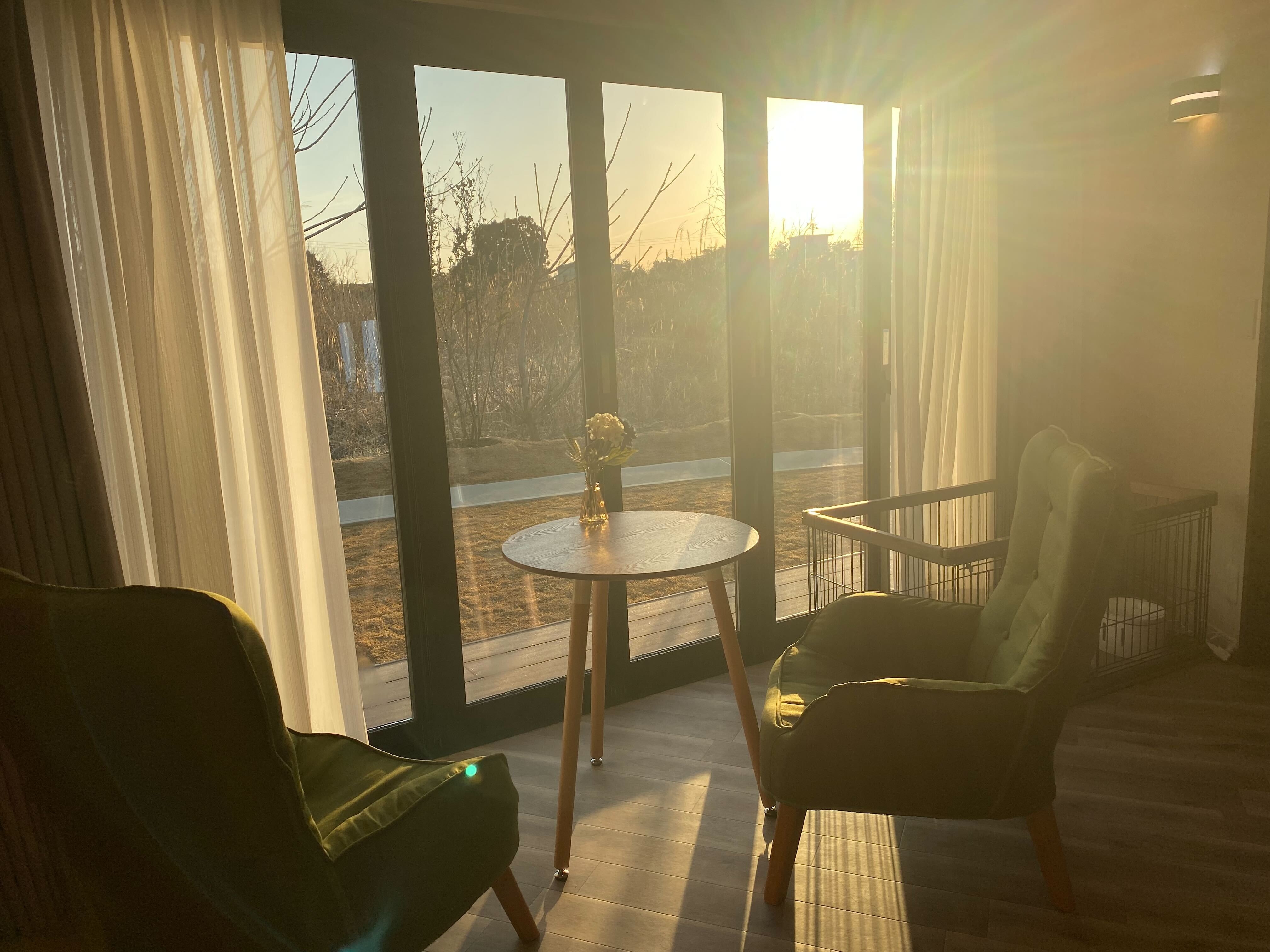 Wing Suite 102 Living Room Morning
