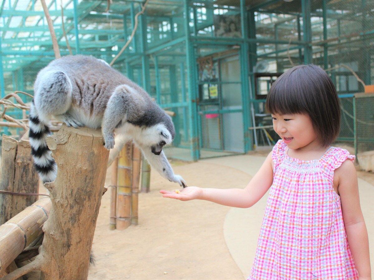 Tohoku Safari Park 3