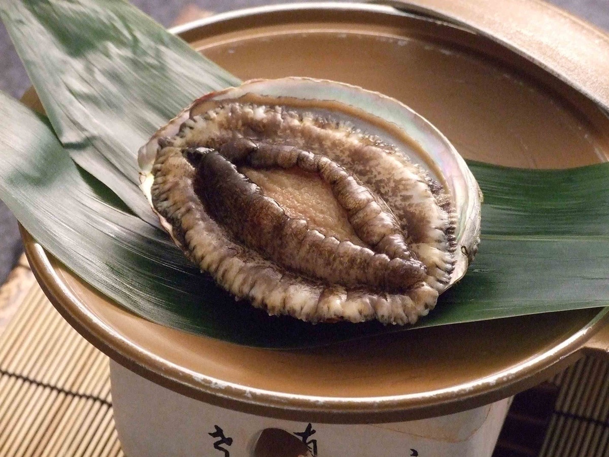 Abalone dance grill