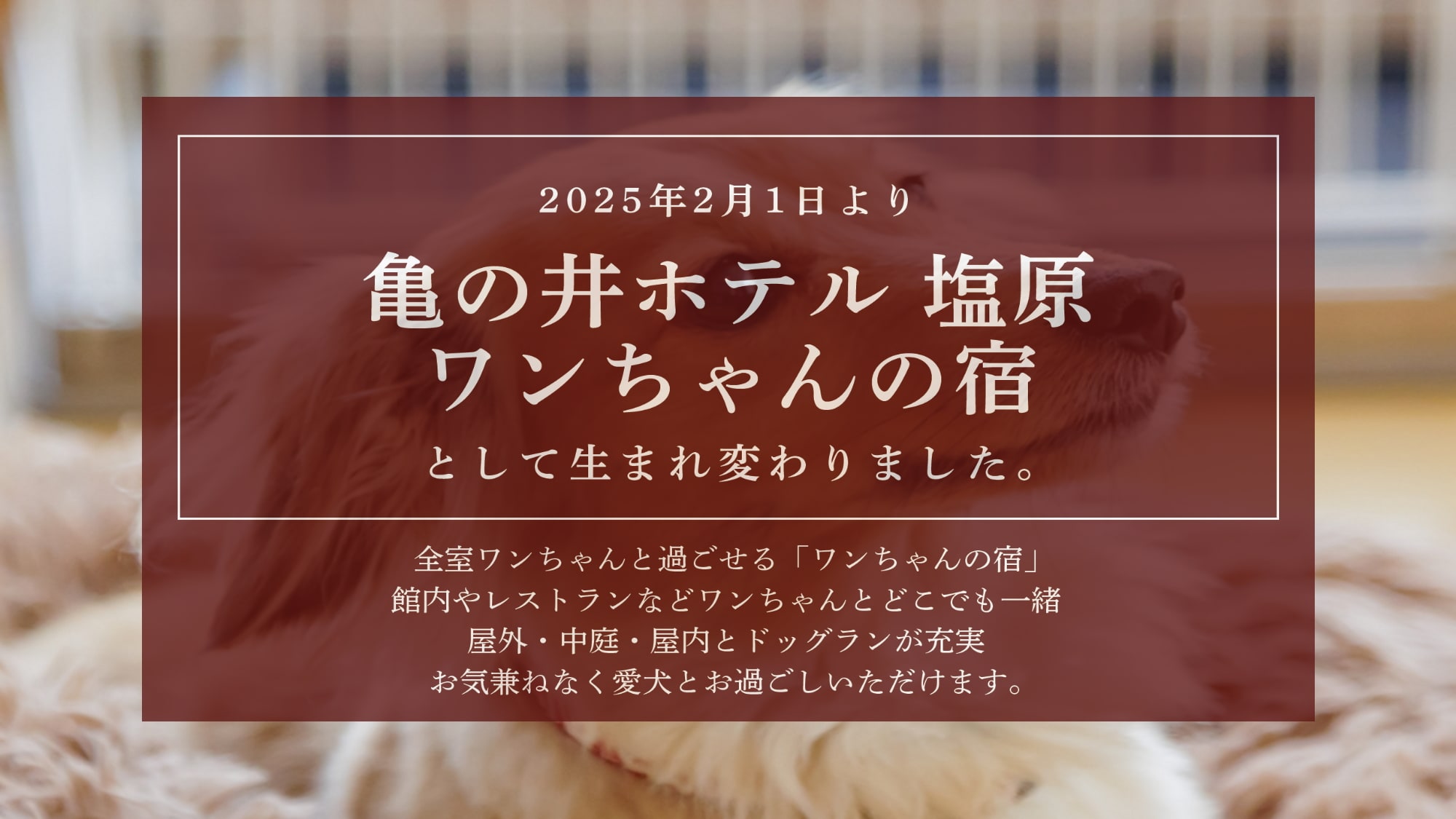 We have renovated it into a "Doggie Inn"♪
