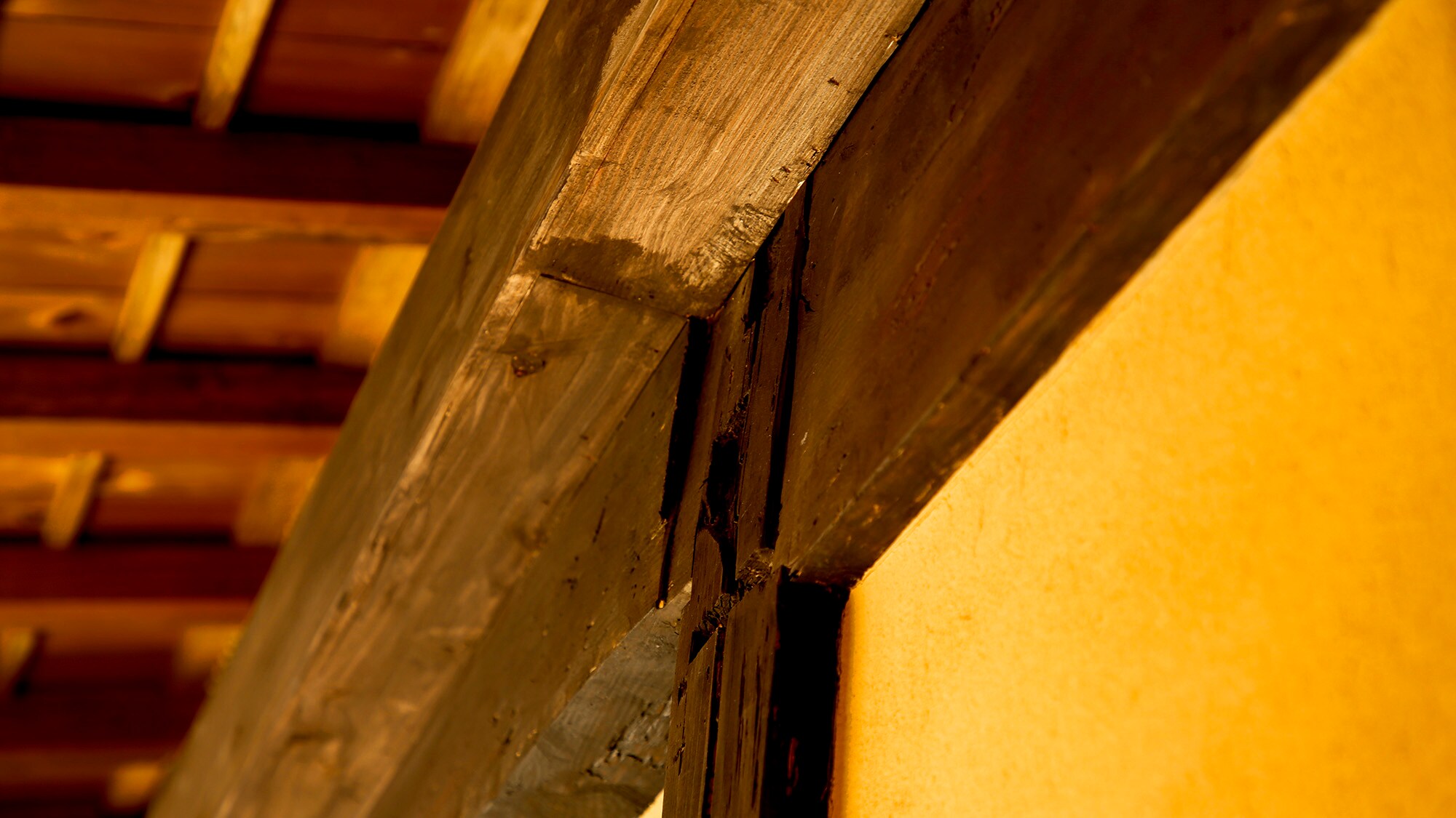 【銀州】每根柱子上的Giboshi是神社木匠的驕傲。