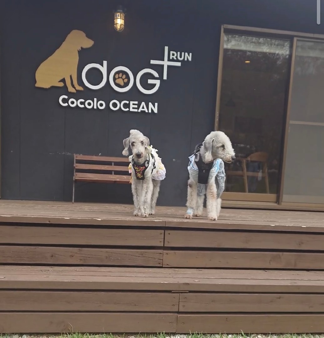 Screenshot_20260514-110308(1).png
