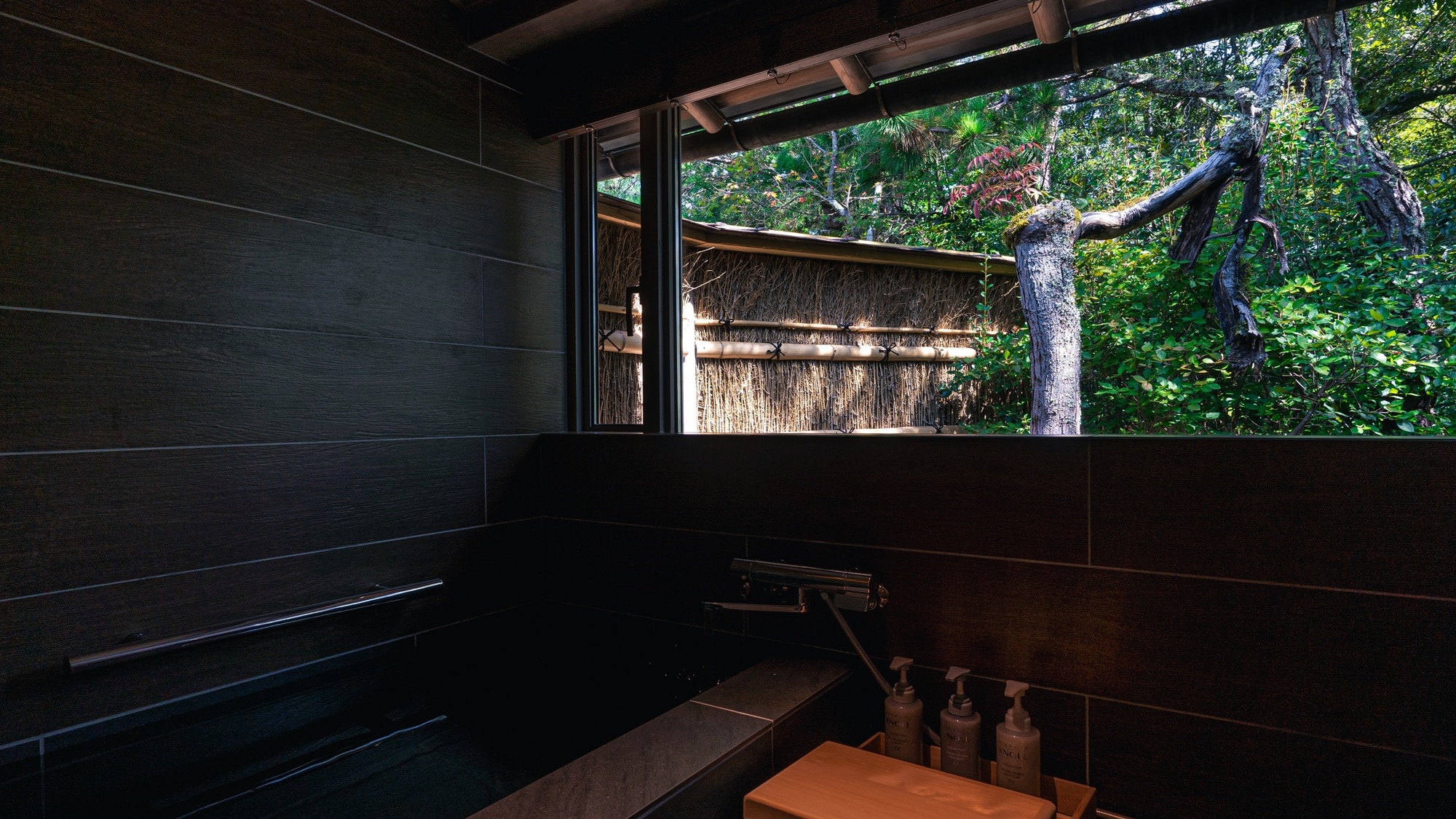 Ryutou (Amanohashidate side guest room)