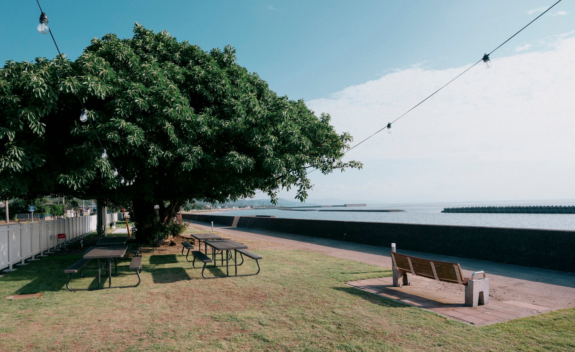 Scenery: 1km long seaside street