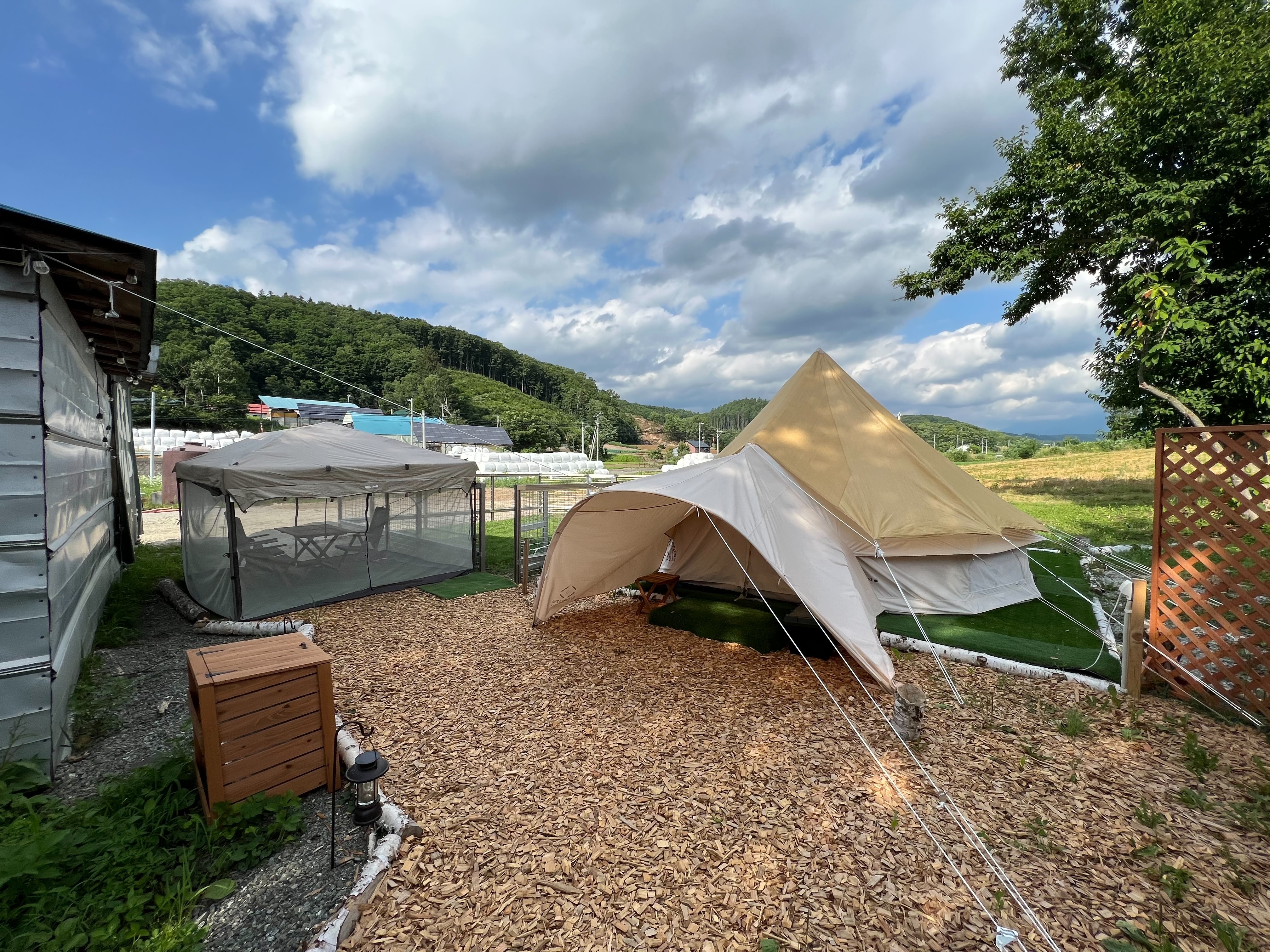 Dog tent exclusive site