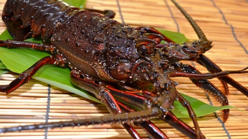 Boso-produced spiny lobster [Boso shrimp] (2021)