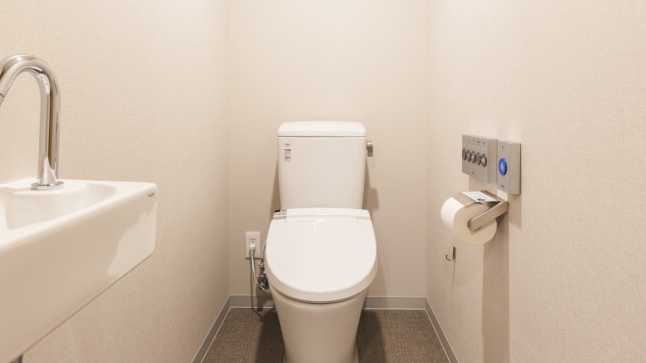 Deluxe twin toilet