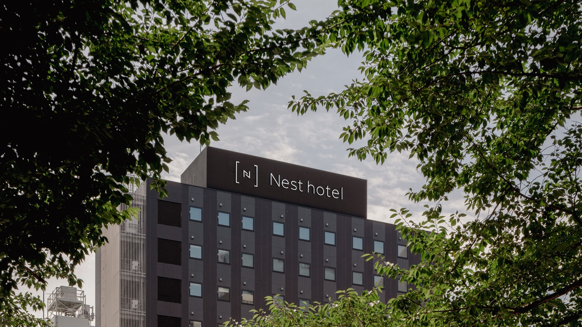[Khách sạn Nest Tokyo Yaesu] Chủ đề của khách sạn là "Tổ chim", một tổ chim ấm cúng gợi lên sự yên bình và ấm áp của thiên nhiên.