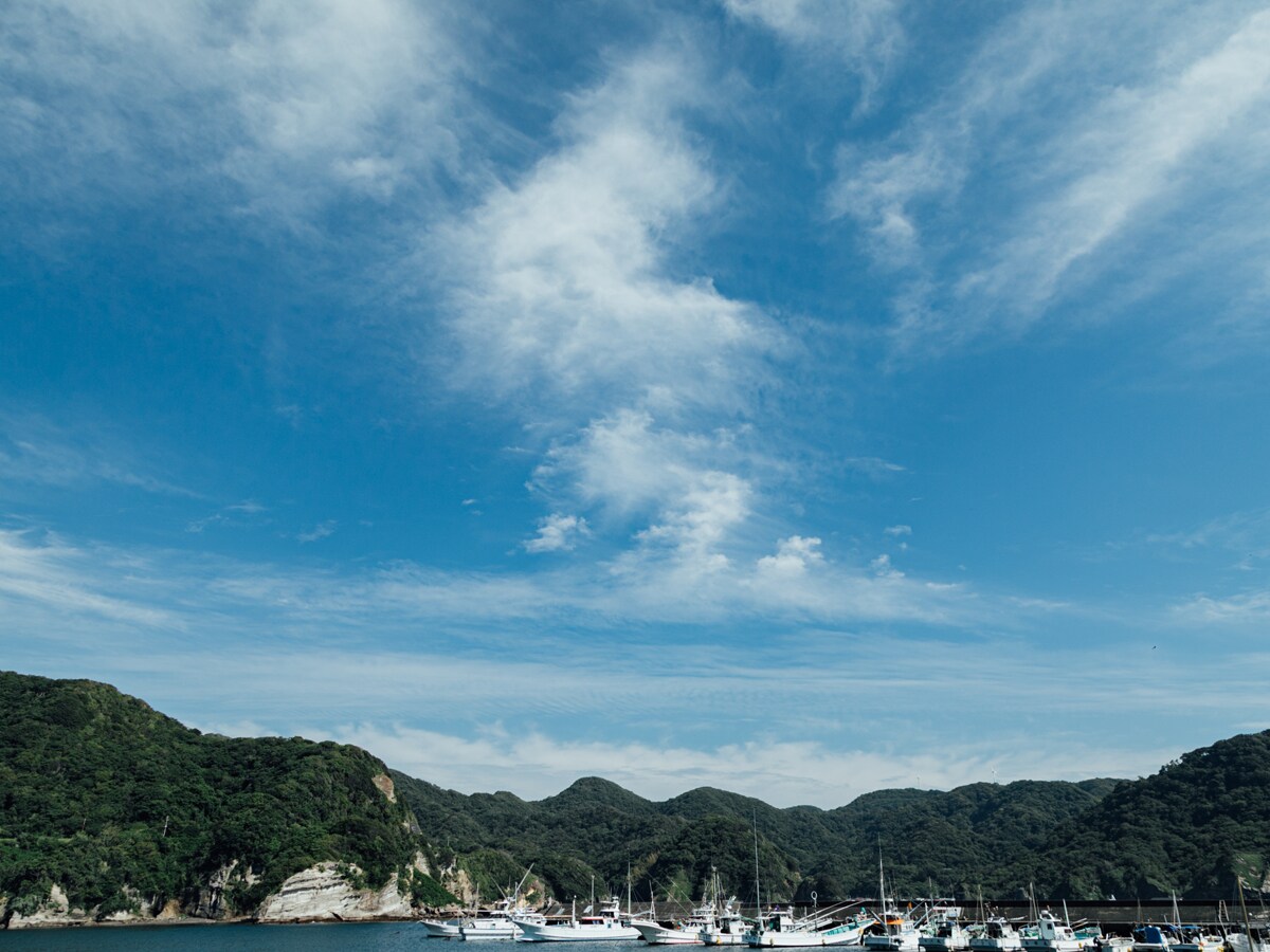 자포 2