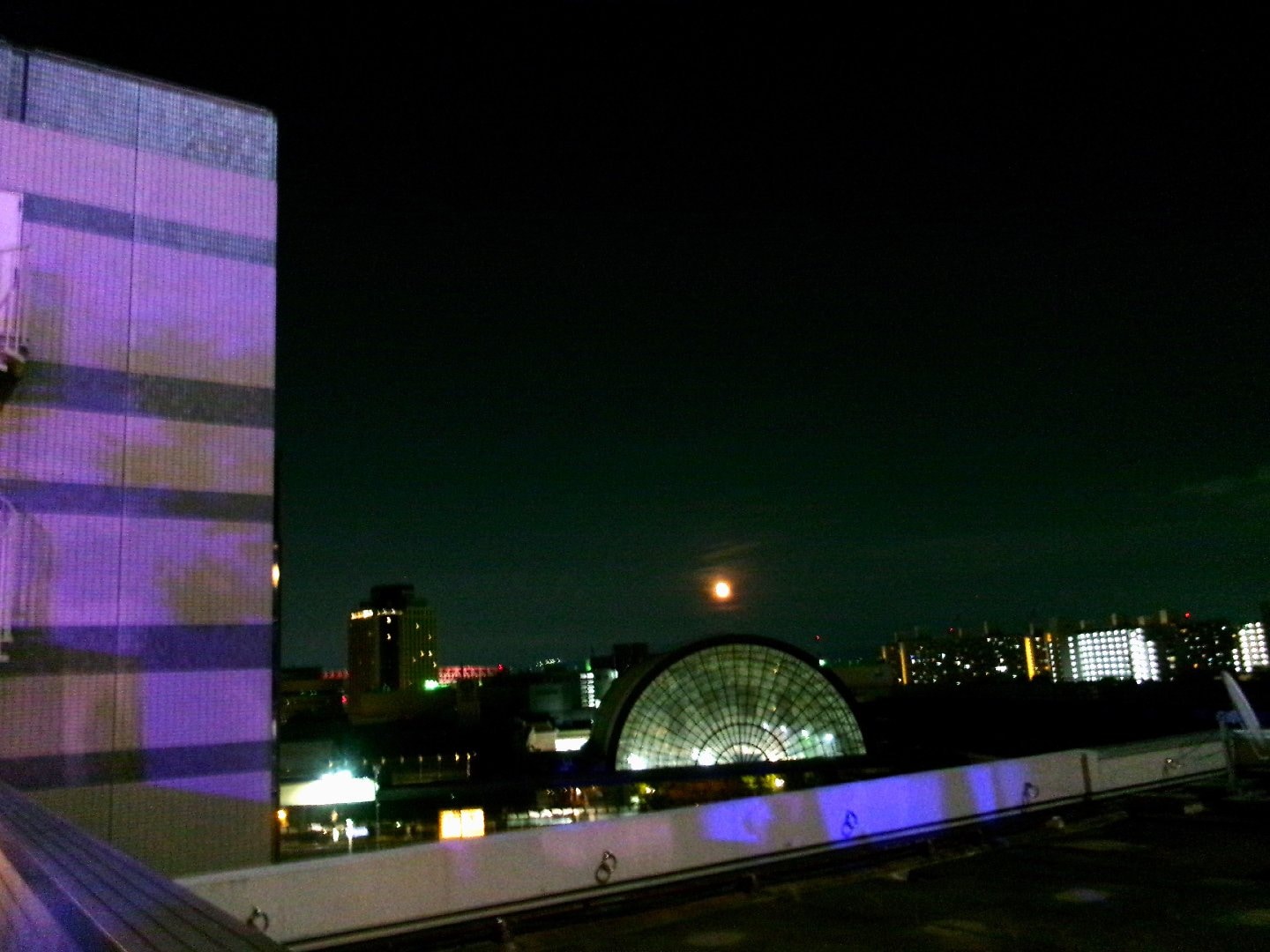 100_0515.JPG
