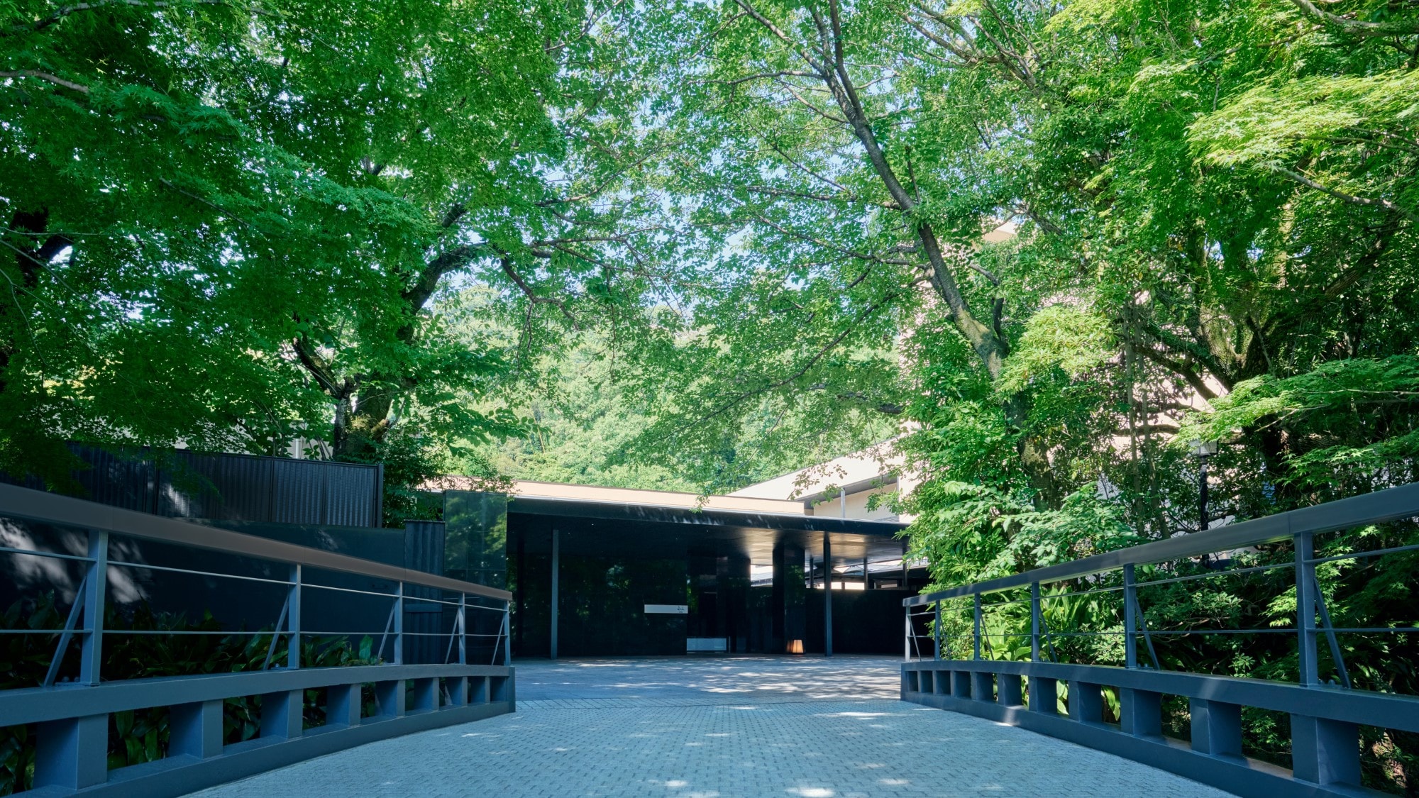 entrance
