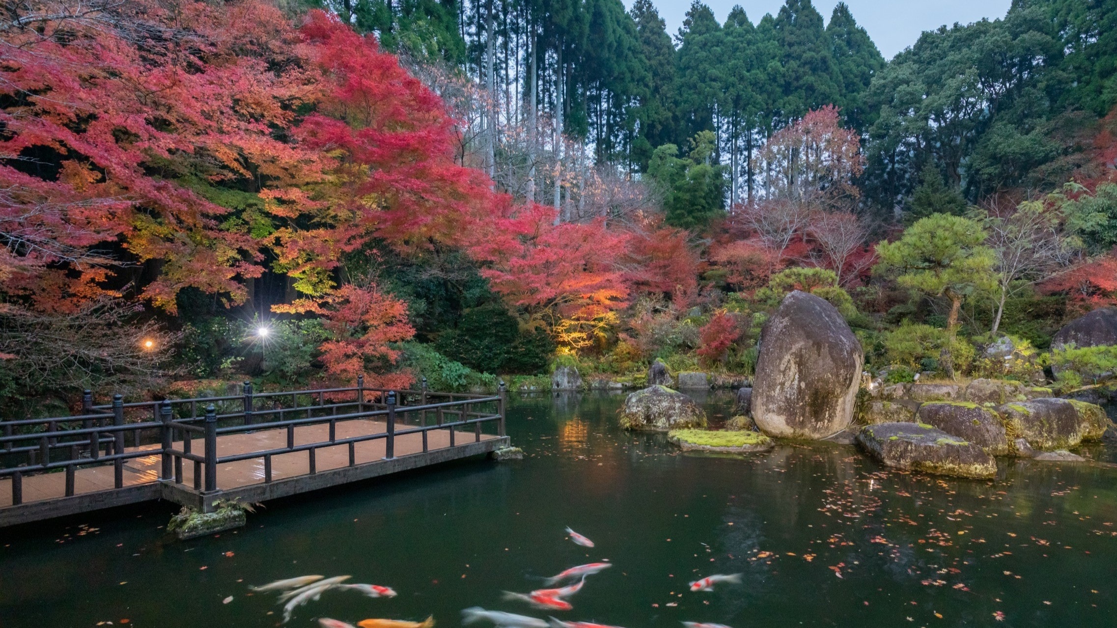[Autumn] Pond with autumn leaves
