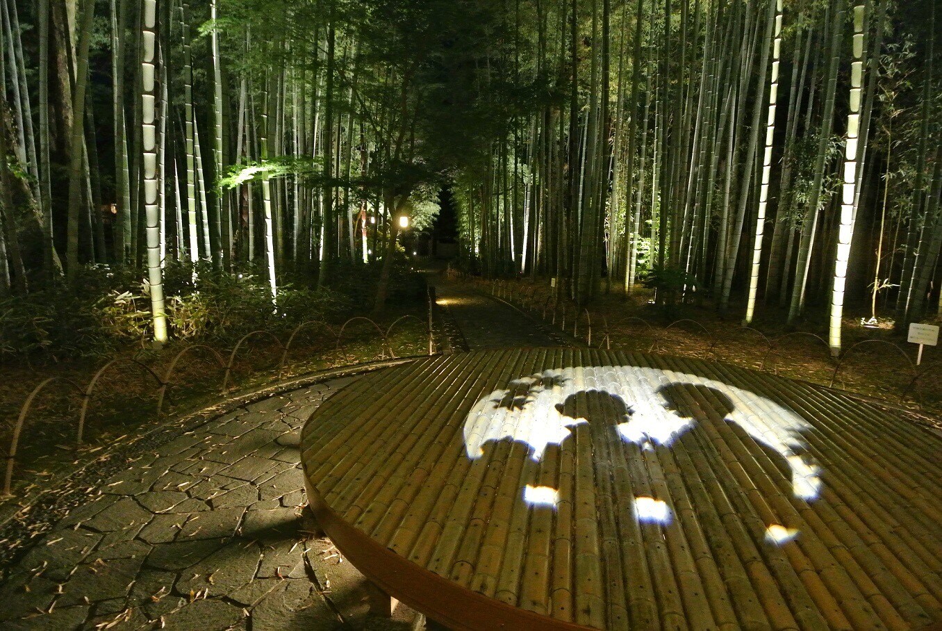 The small diameter of the bamboo grove is lit up from 20:00 to 22:00 at night.
