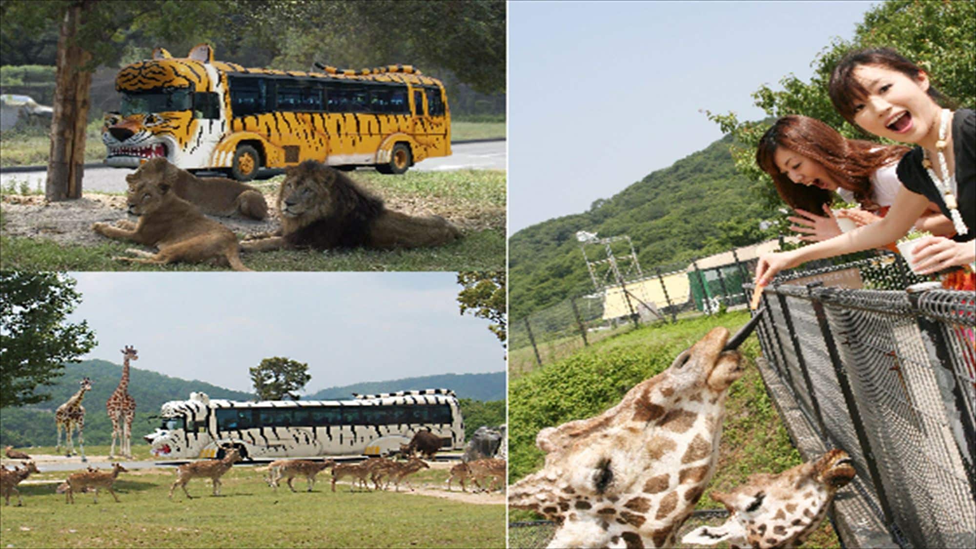 Gambar Safari Taman Pusat Himeji