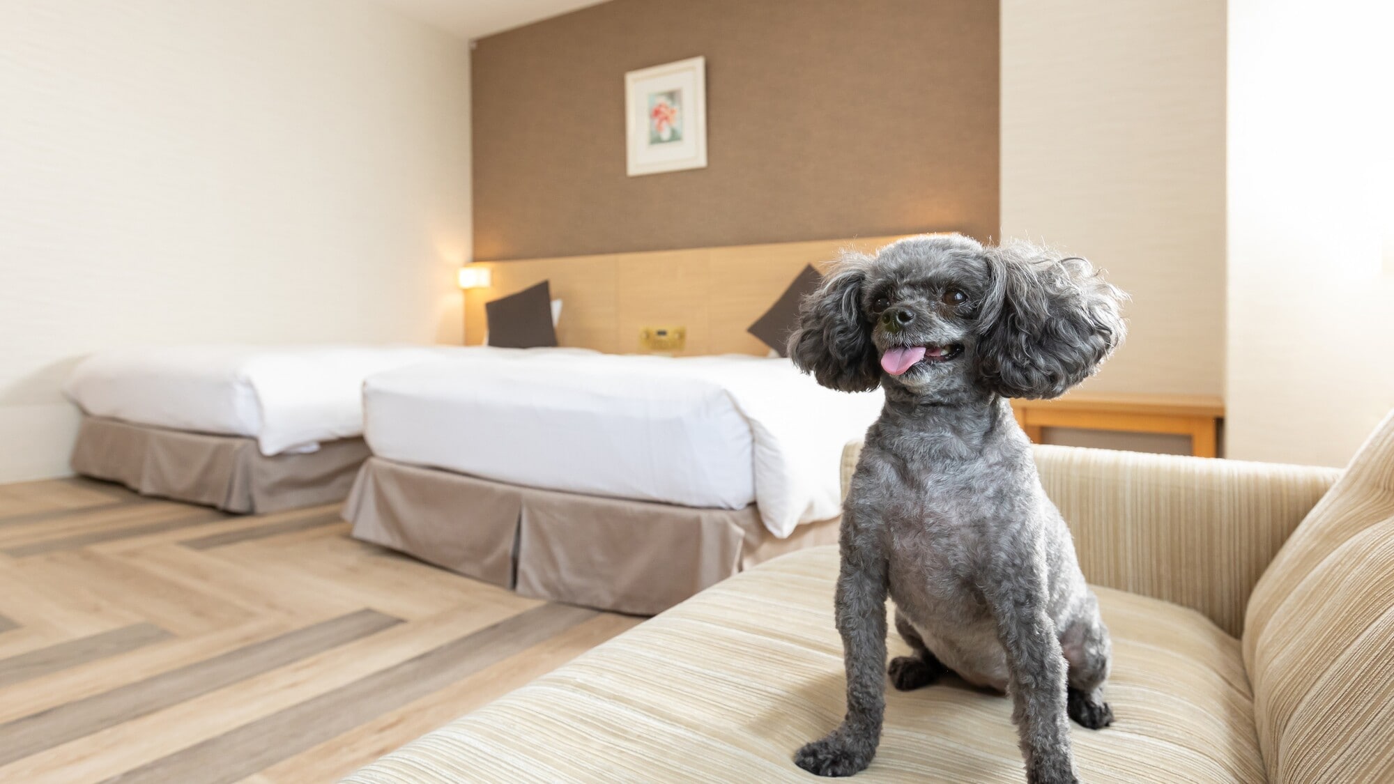 Pet-friendly twin room (with sofa bed) [40 square meters] [Even your dog wants to travel!]