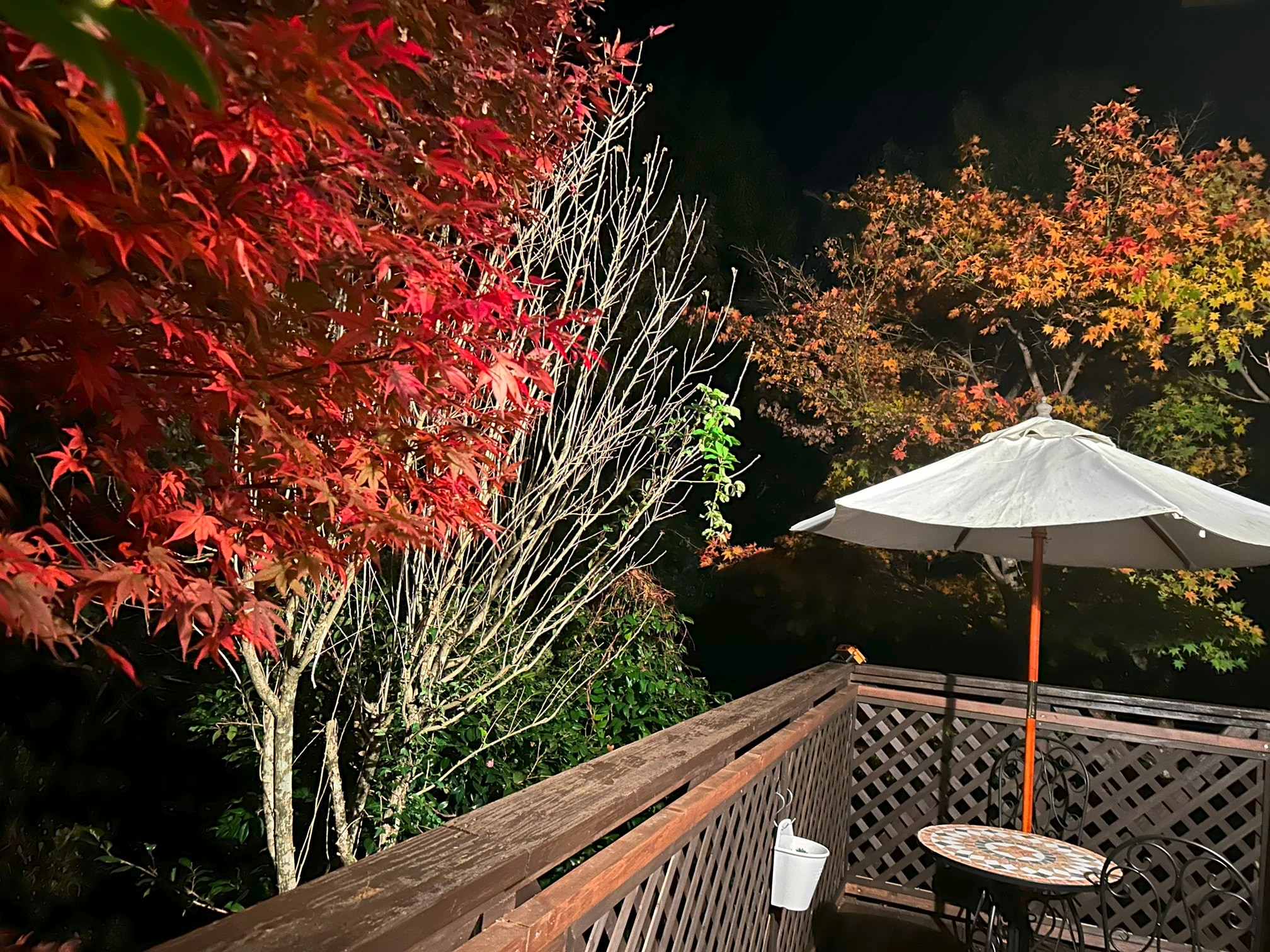Autumn leaves illumination terrace