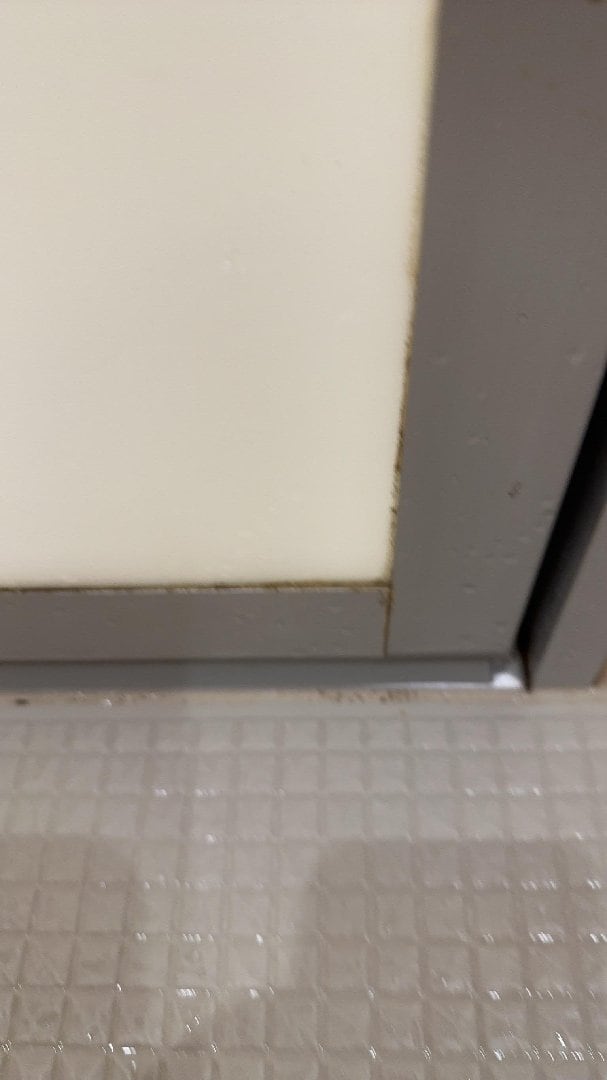 IMG_0491.jpeg