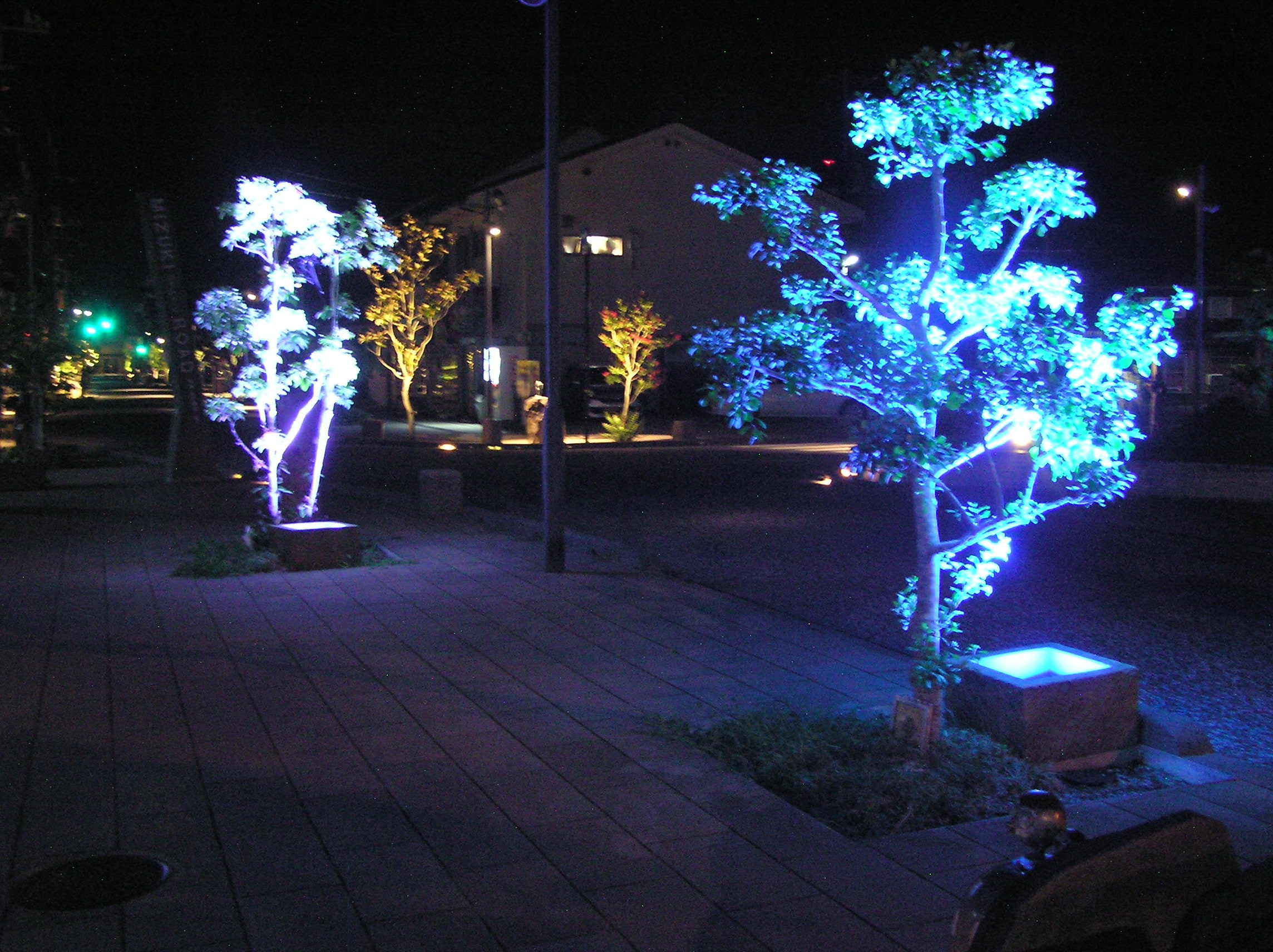 Mizuki Road at Night