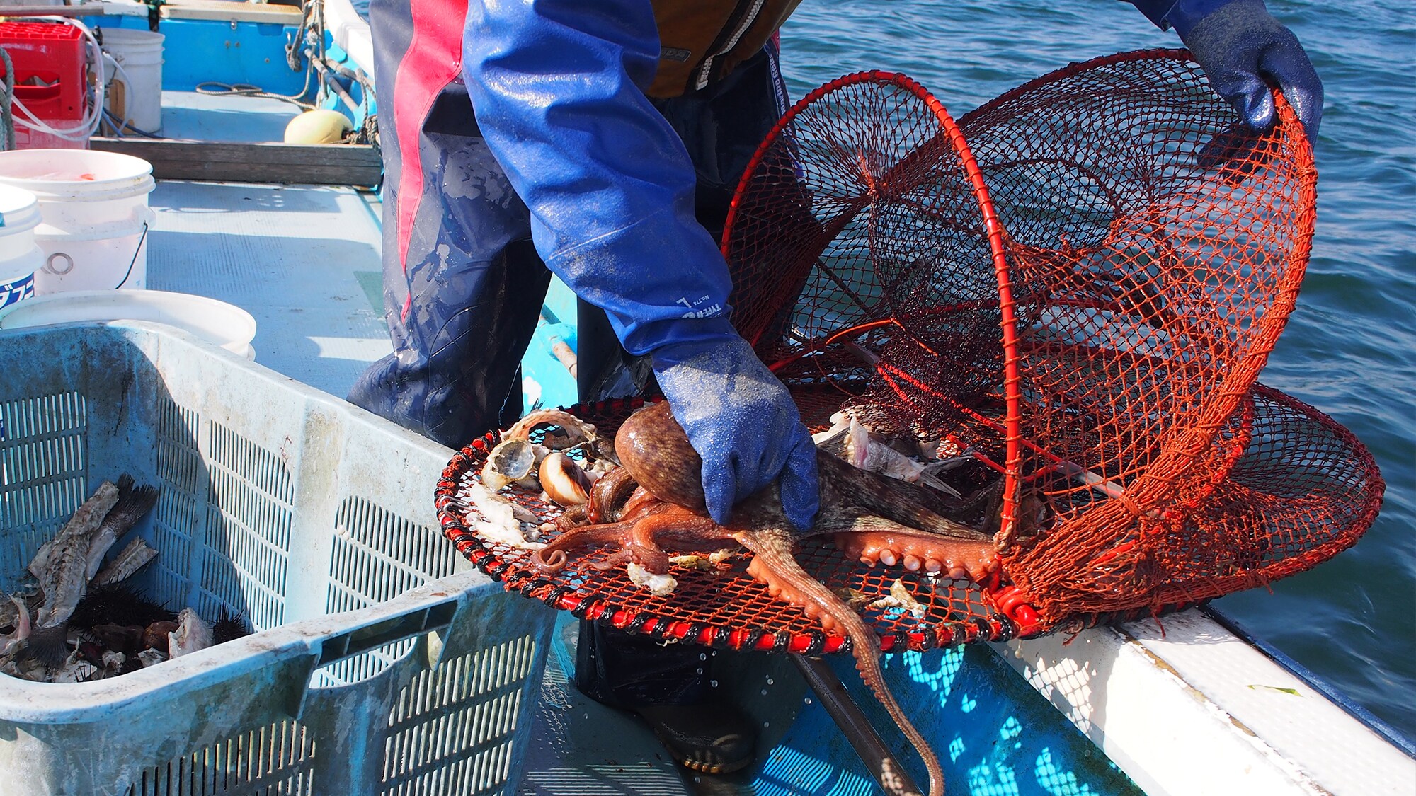 ทัศนียภาพการตกปลา