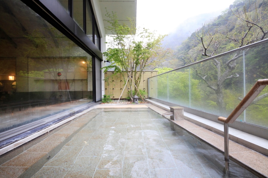 Large public bath and open-air observation bath