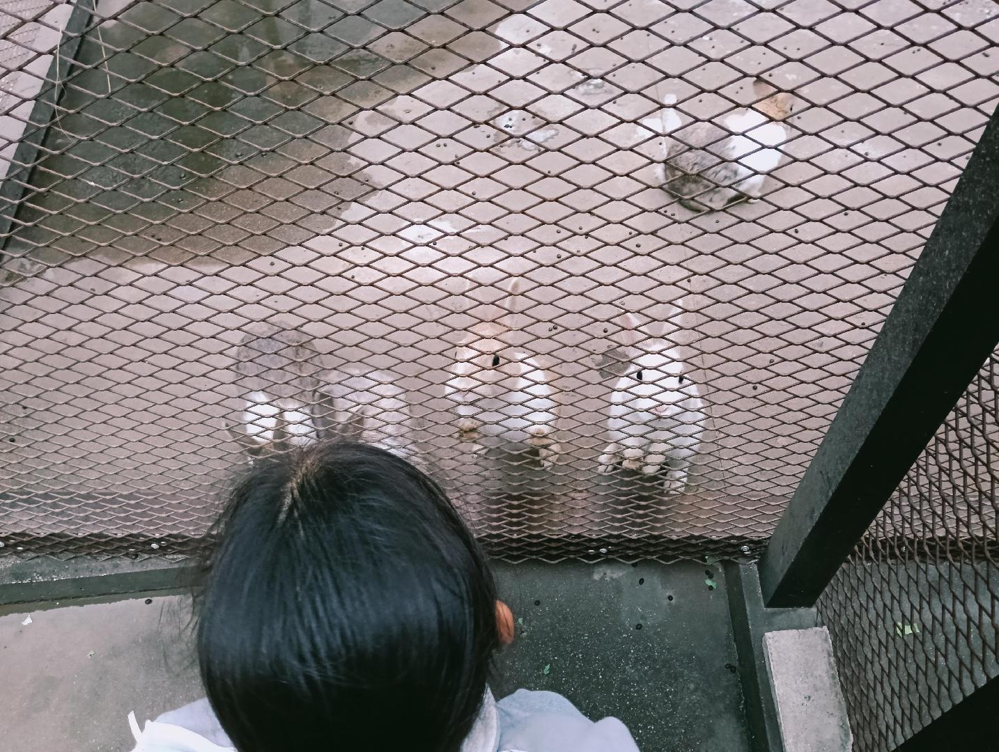 1000006166.jpg