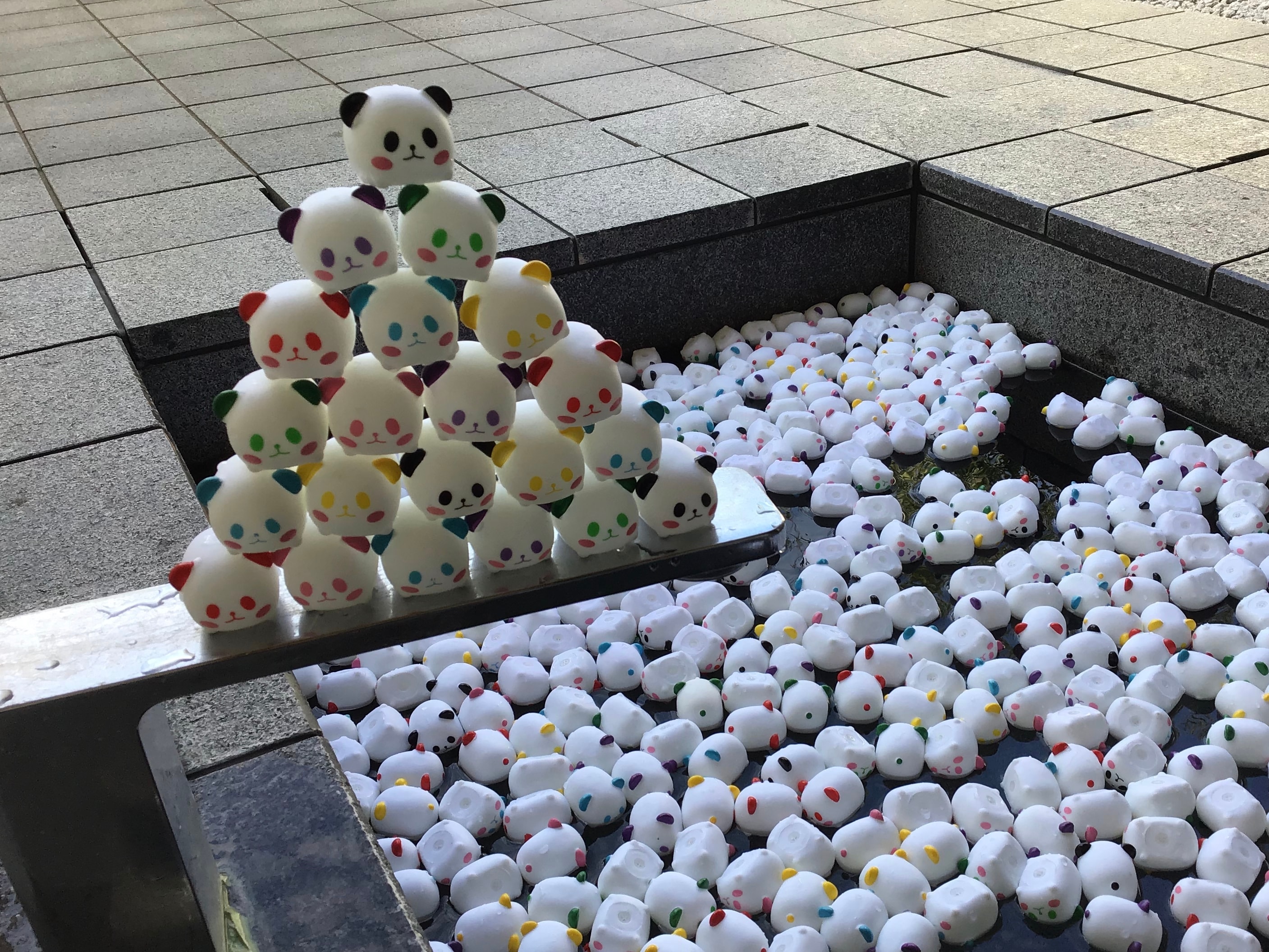 寶寶計畫！浴缸裡漂浮著一隻熊貓♪