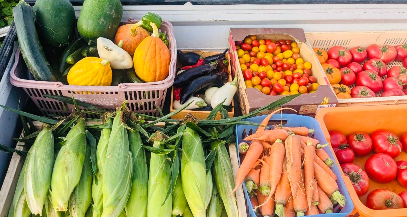 Freshly picked vegetables
