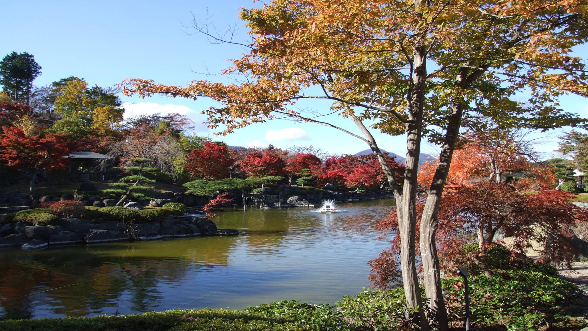 * Autumn scenery The scenery of autumn leaves is a masterpiece!
