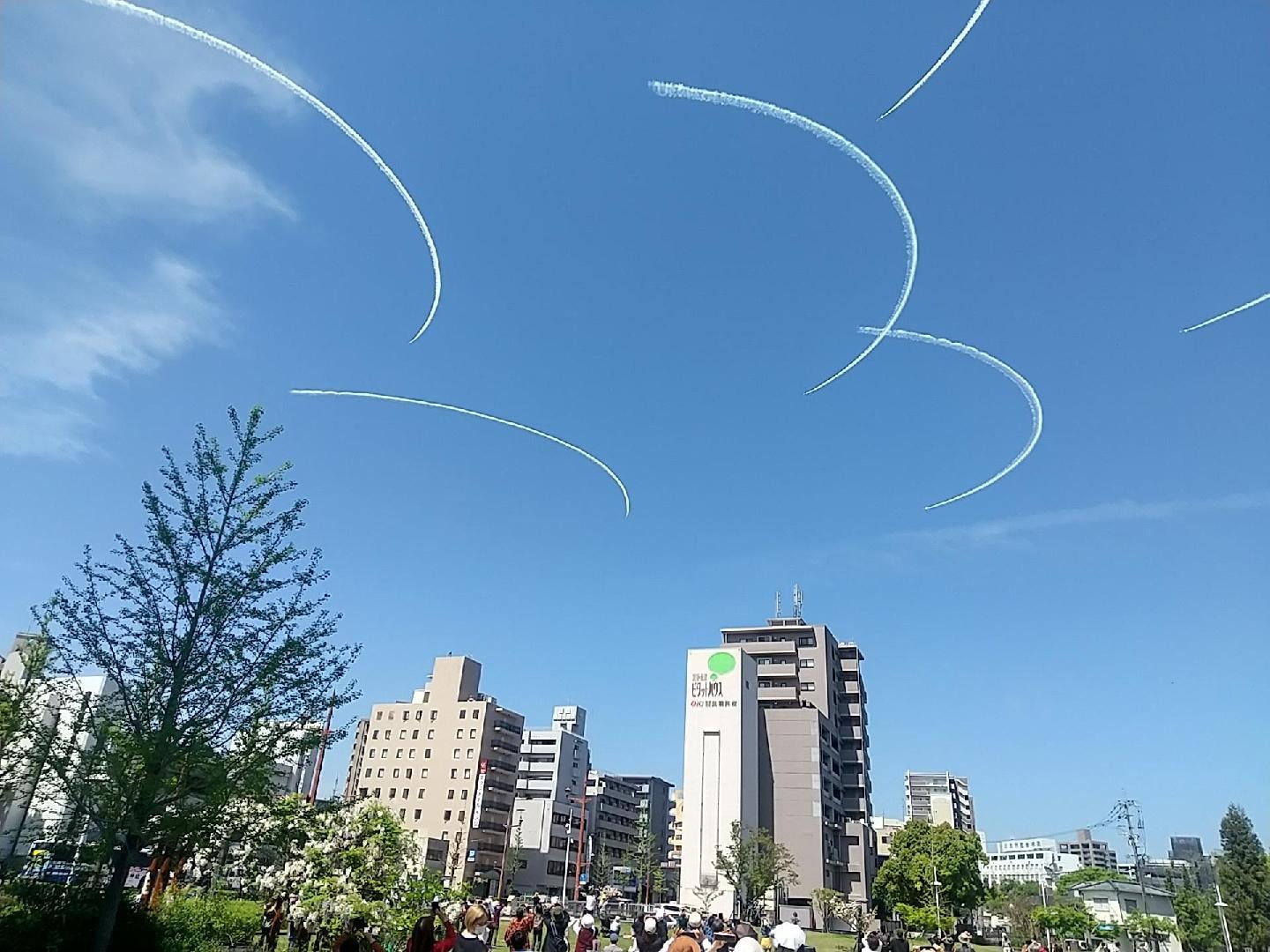 1000022054.jpg