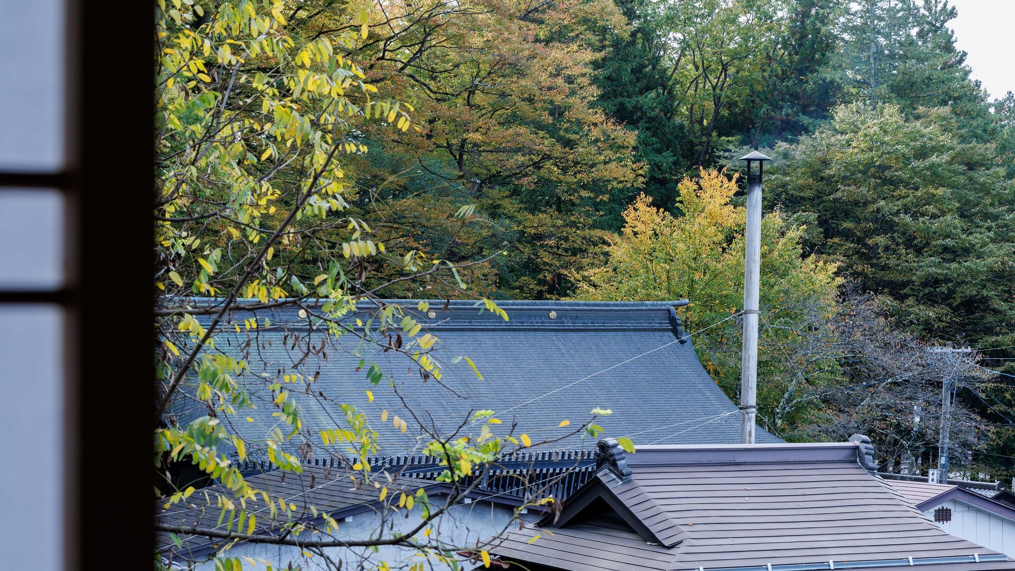 ■ [Kinpa, Kujaku, Hagoromo] 13 tatami Japanese-style room + wide veranda, example of a view (Room orientation and view will be decided by the hotel)