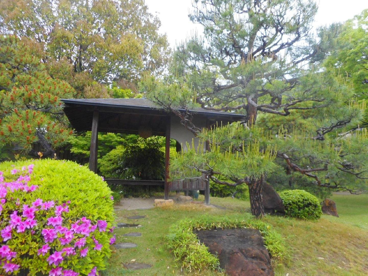 DSCN2206.JPG