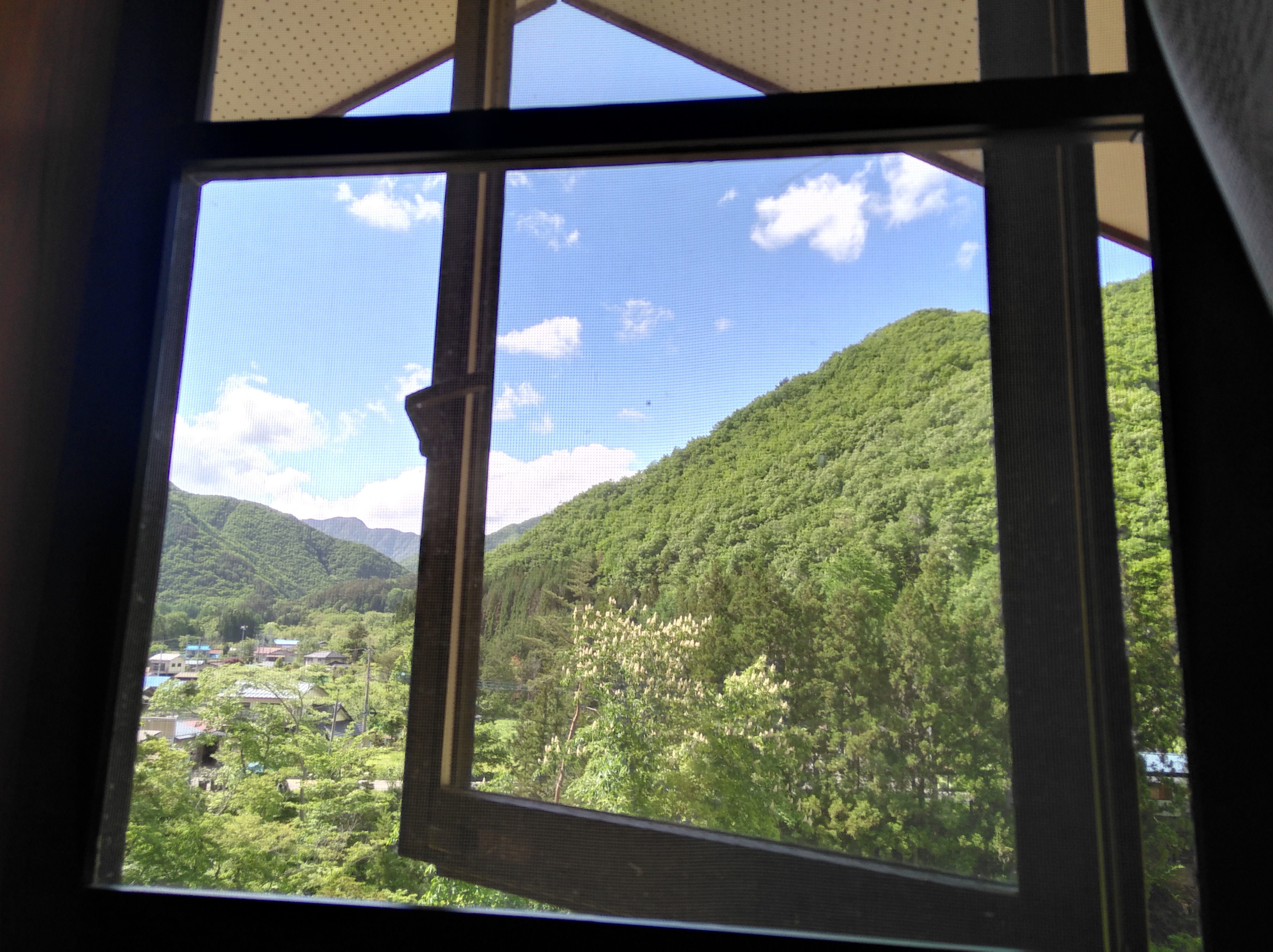 4人凱文風景