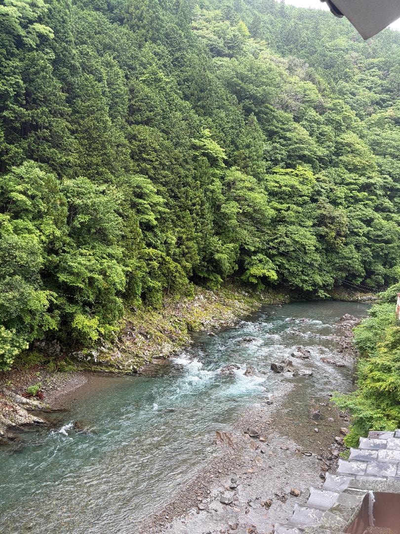 321C26AB-08E0-4C68-9981-F68965F543A4.jpeg