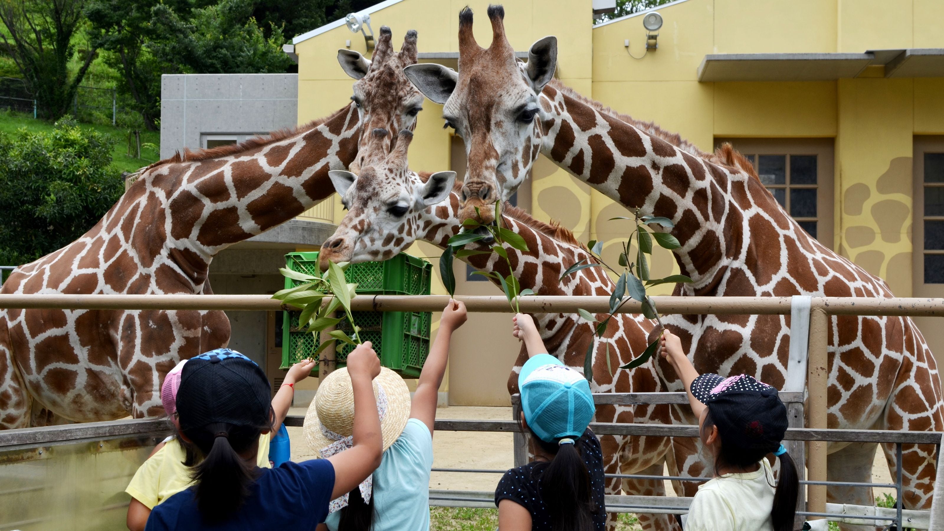 上峰動物園_日立市