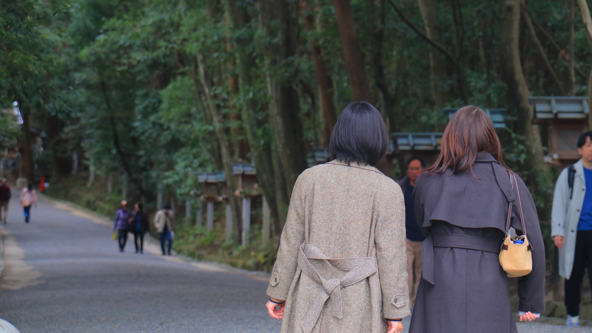 [Image of visiting Omiwa Shrine]