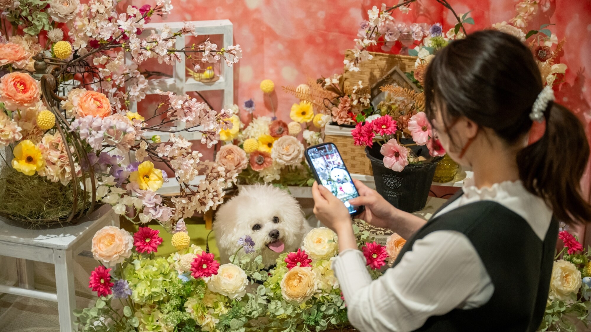 Take some cute photos of your dog! You can freely use the photo studio during your stay (free of charge)